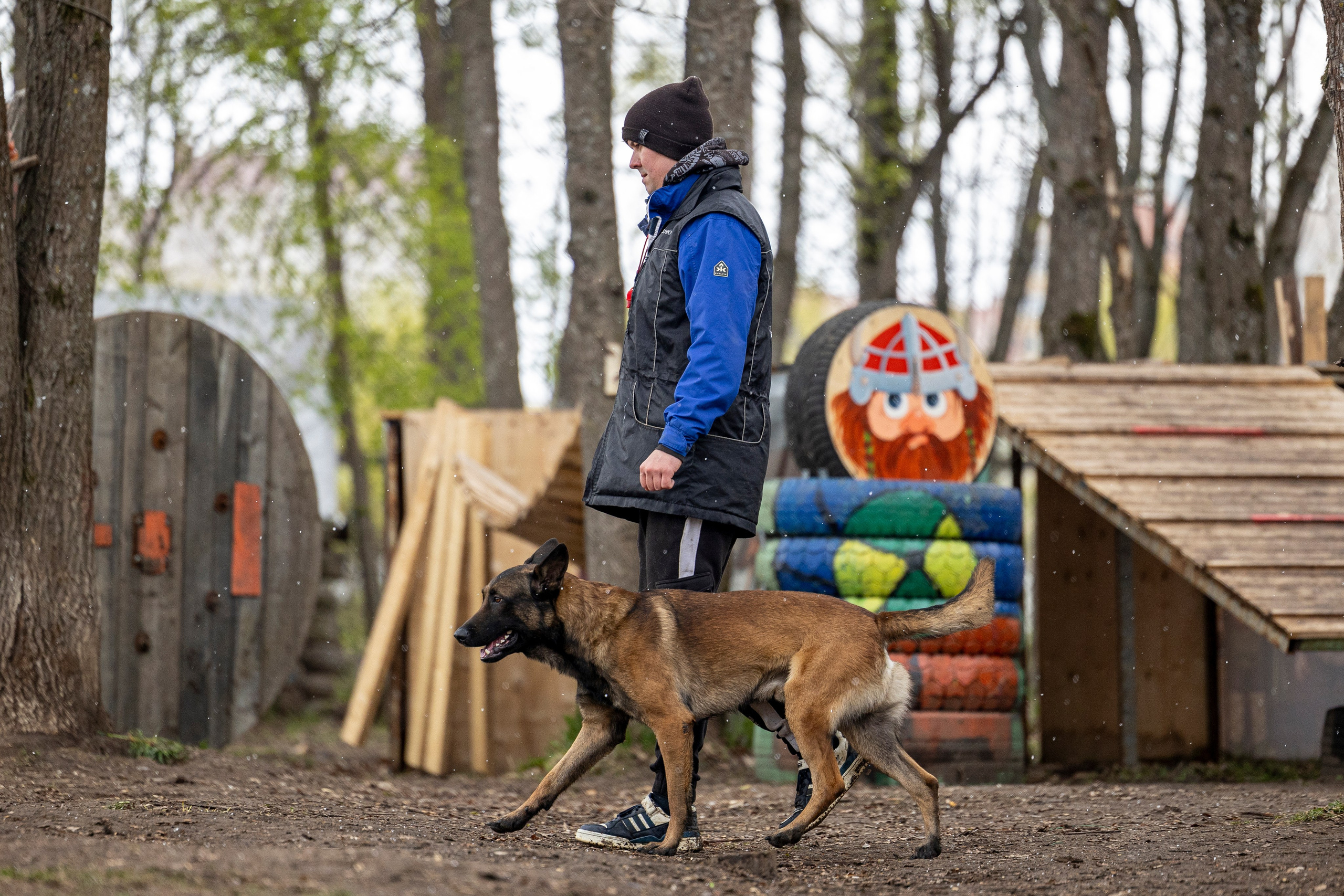 Квалификационные состязания по мондьорингу г. Вологда 11.05.24. Фотограф-анималист Анна Маринич