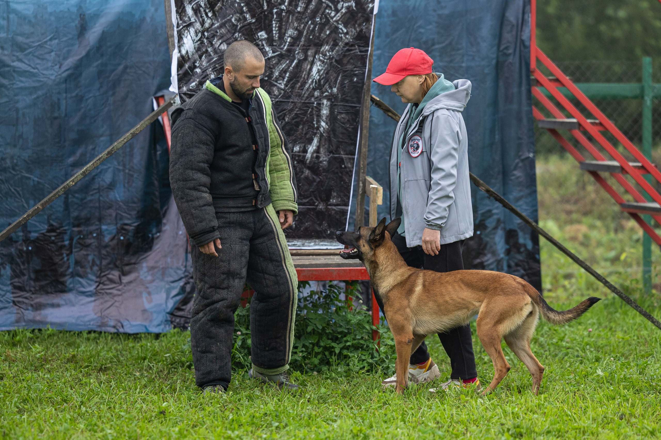 Соревнования по Мондьорингу г. Вологда 10-11.08.2024. Фотограф-анималист Анна Маринич