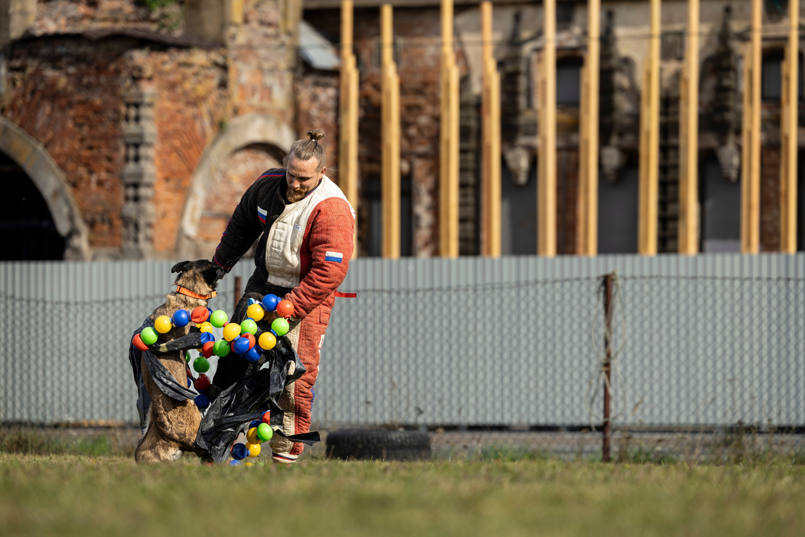 Испытания по Мондьорингу г. Пушкин. Фотограф-анималист Анна Маринич