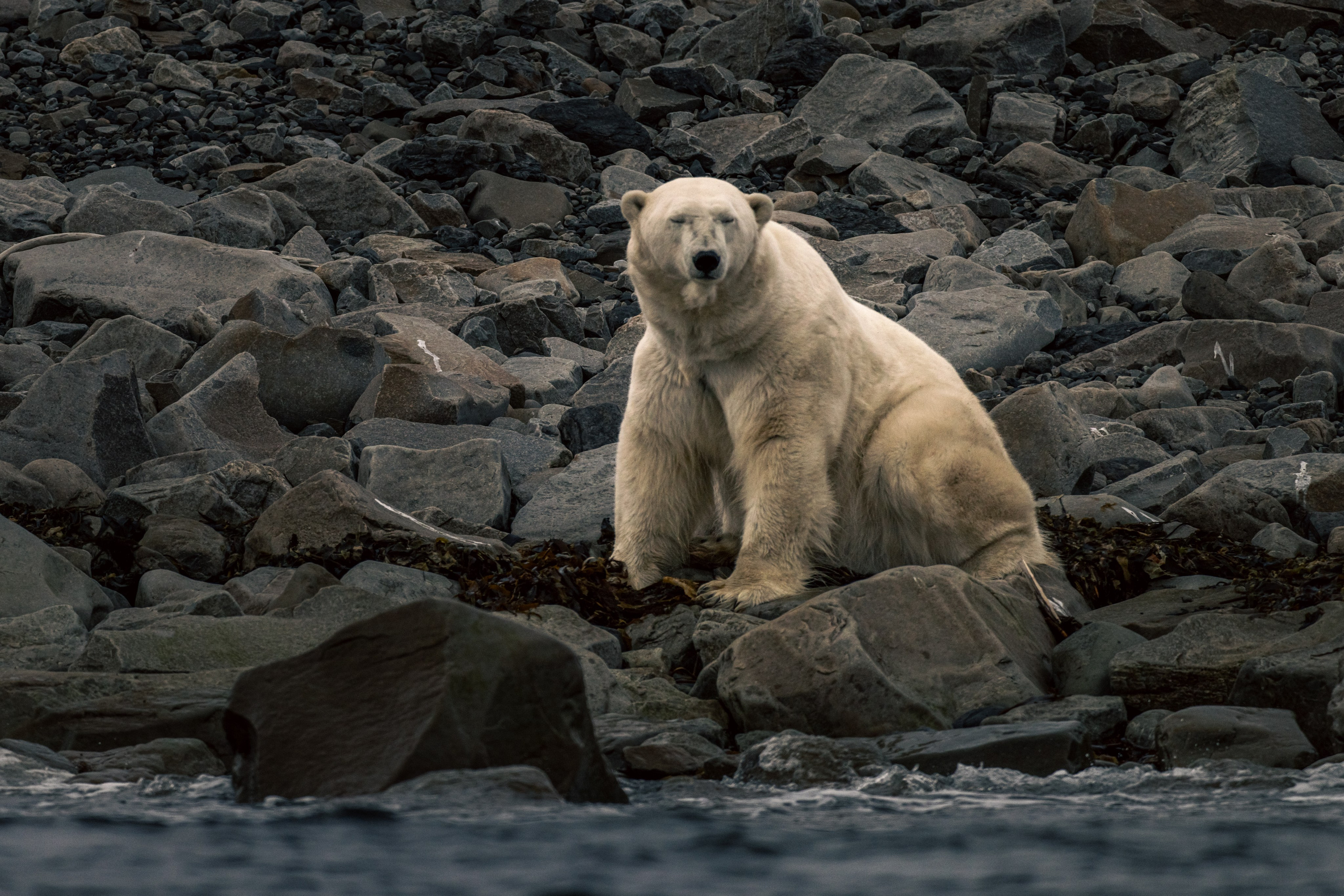 Photographer Kirill Sergeev | Moscow