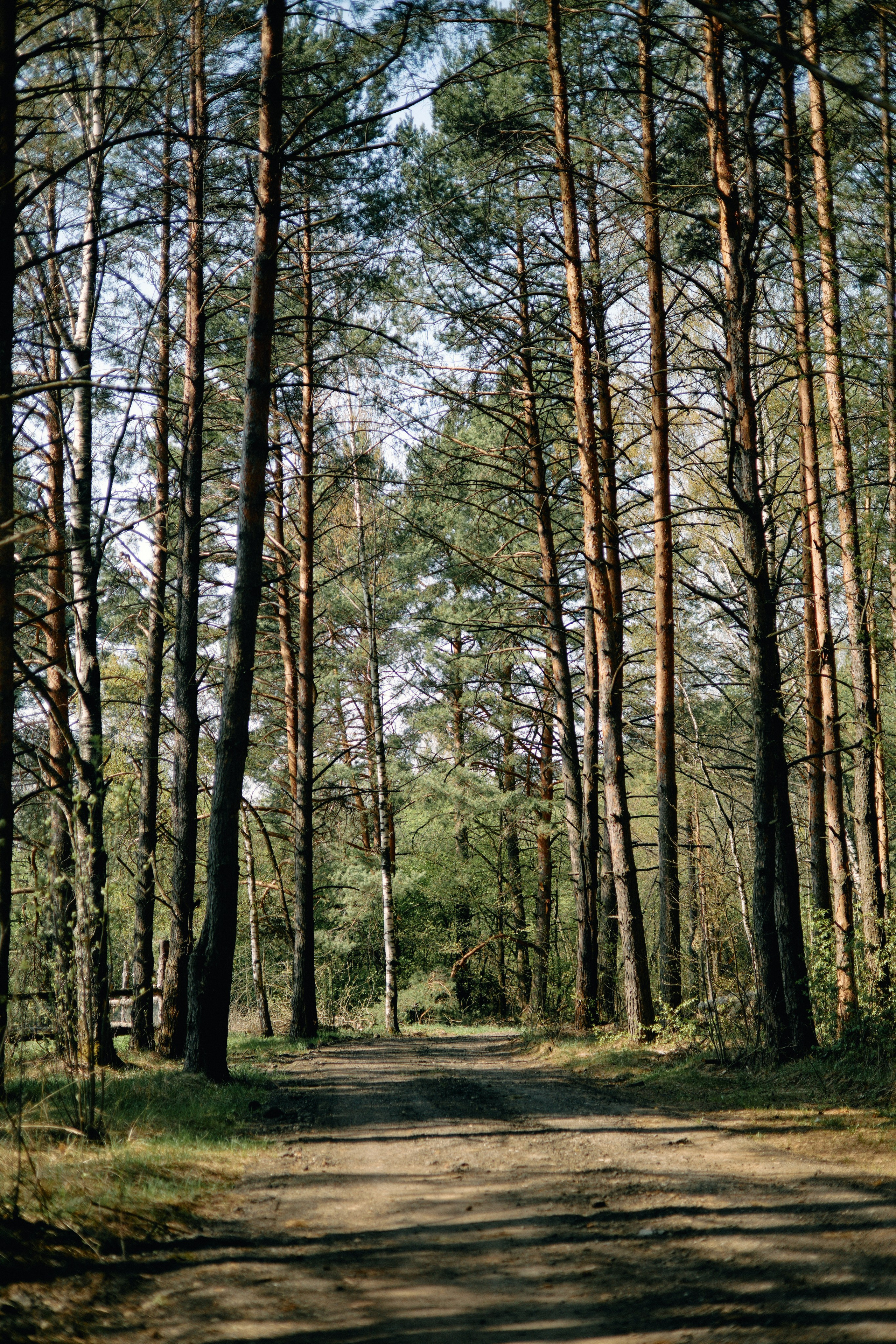 Бутик-отель Поле летом. Профессиональный Фотограф во Владимире, в Москве и в Суздале — Полина Романычева
