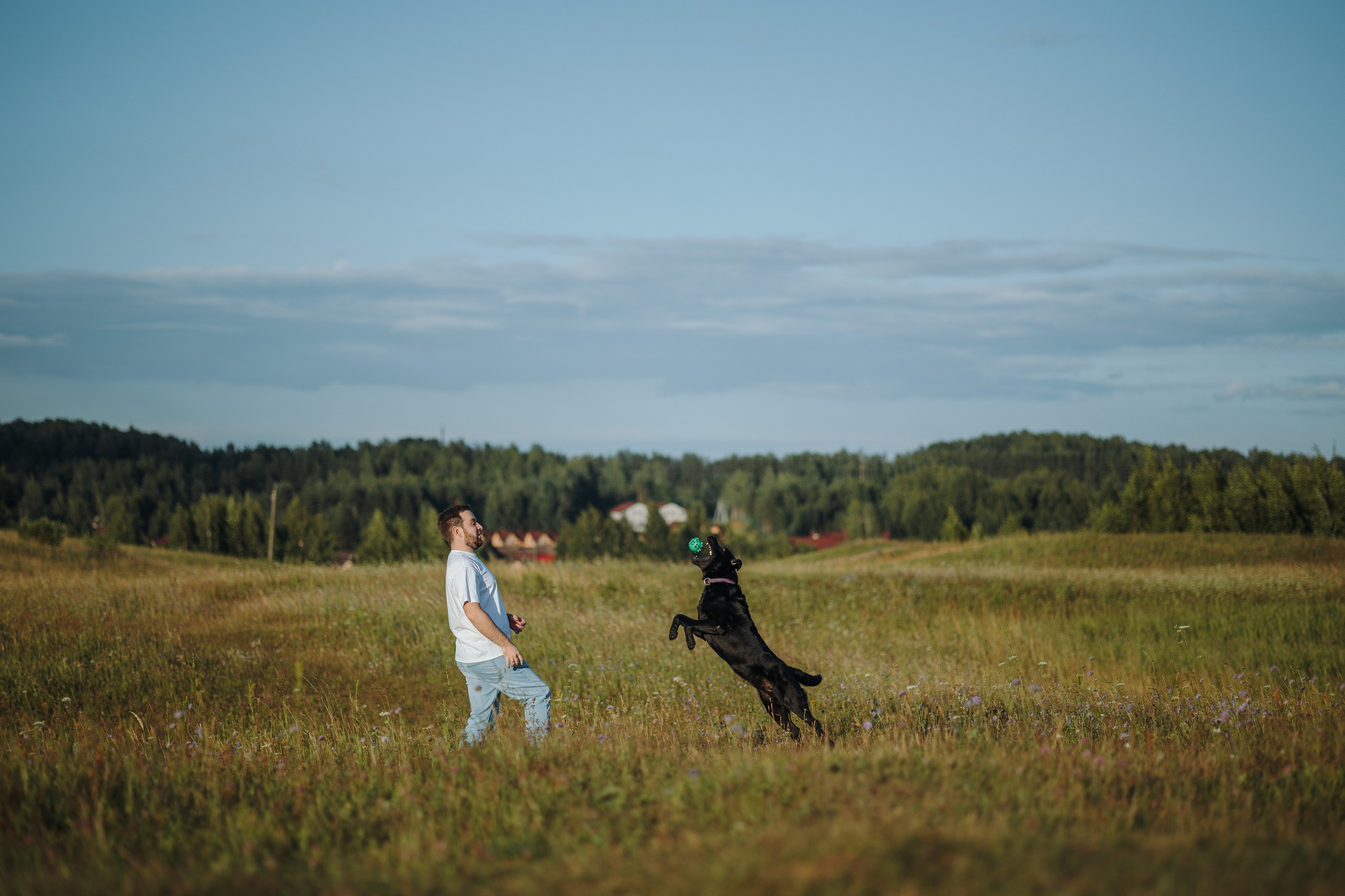 Бомбей и его семья. Фотограф — Анималист | Санкт-Петербург