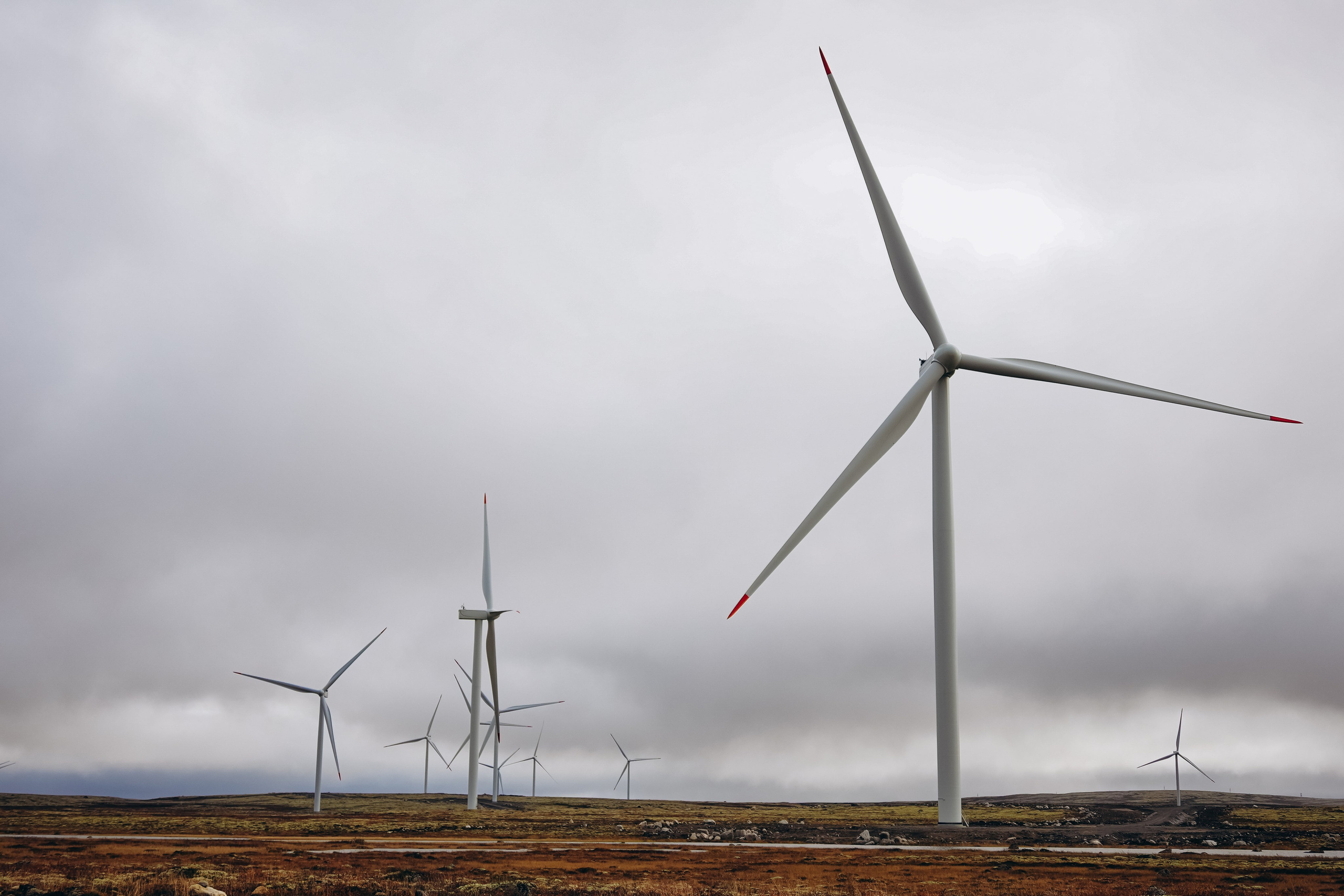 СЕВЕР. Event фотограф Степанова Александра