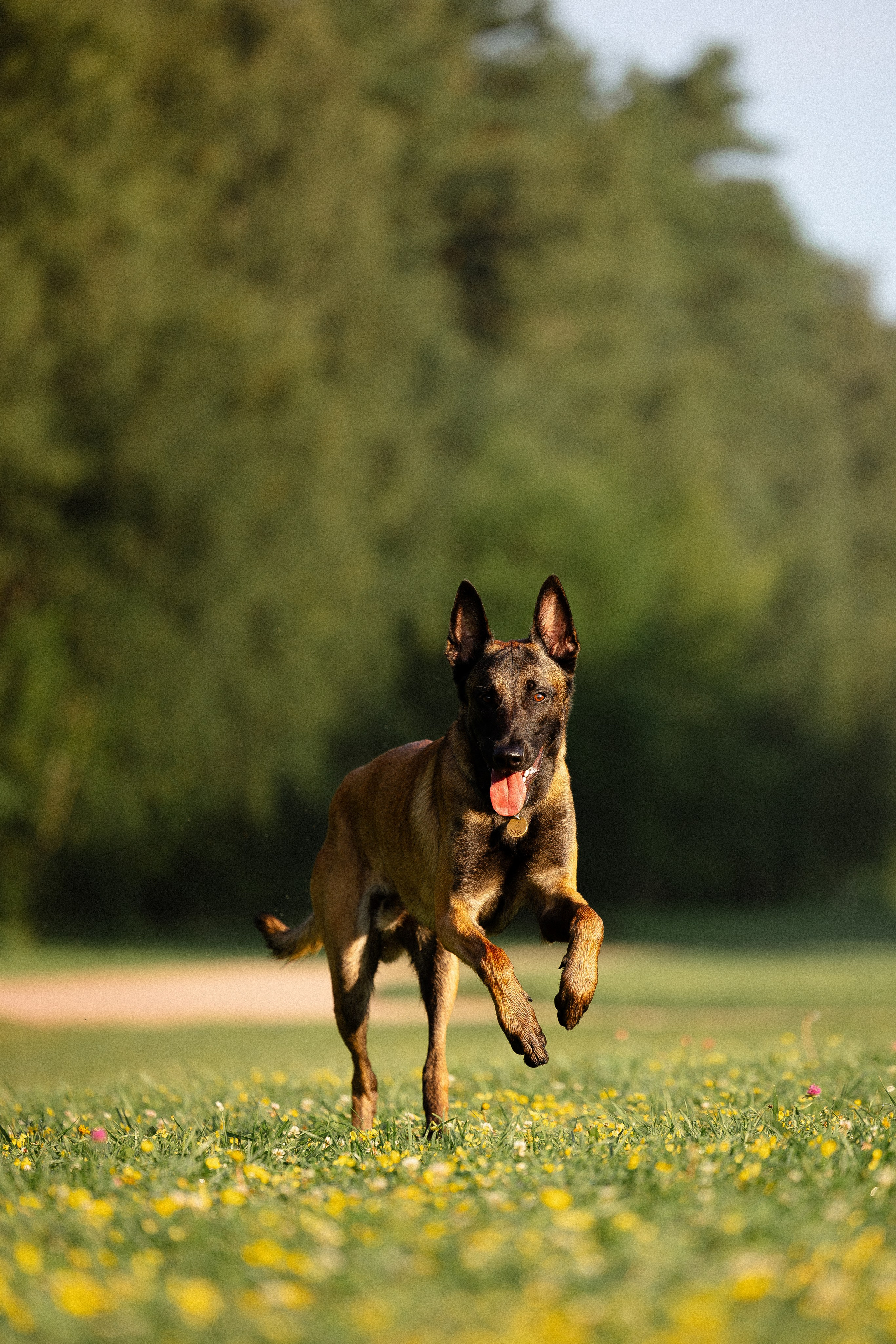 Галина и Кодекс. Фотограф и видеограф анималист Аганина Дарья
