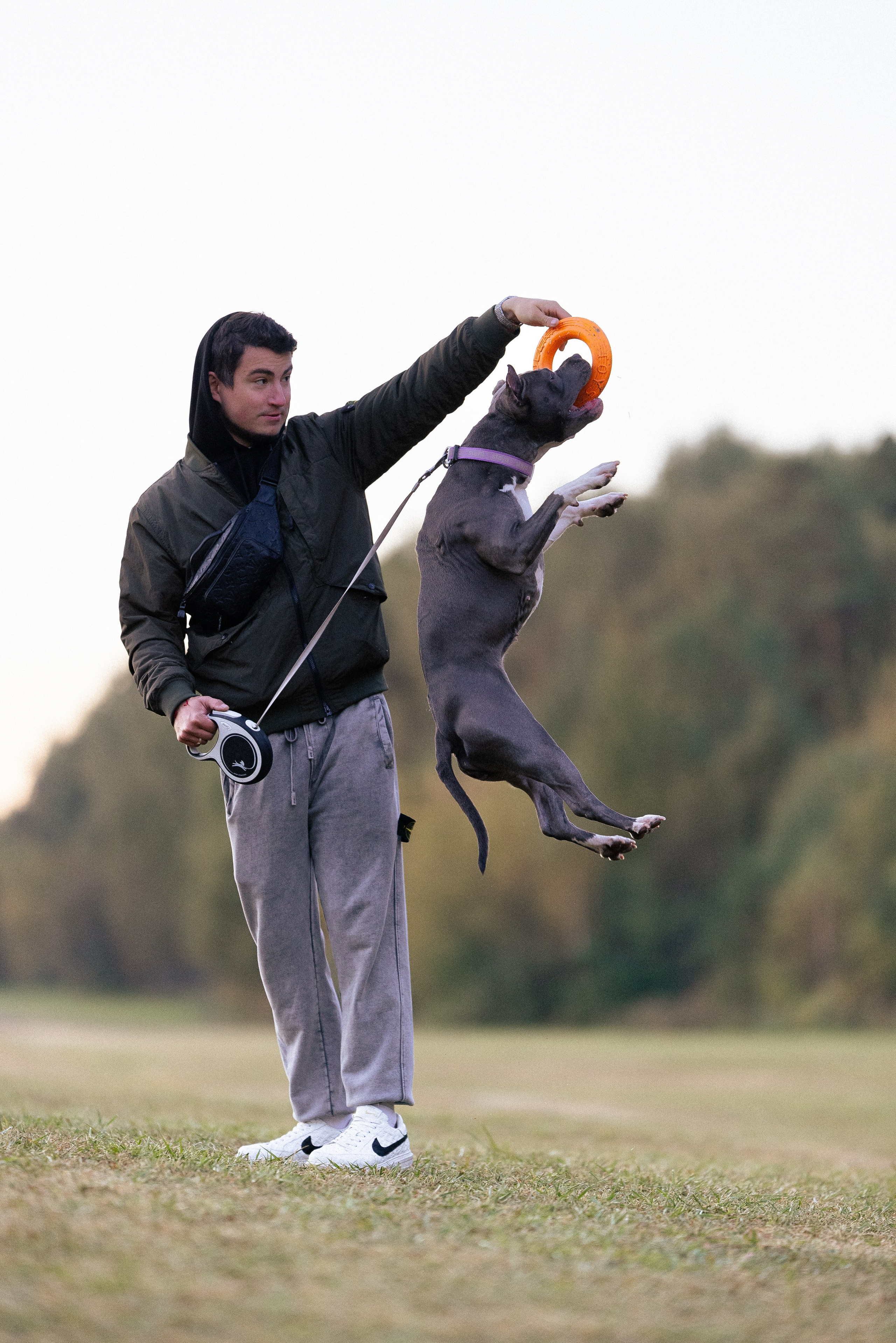 Катя, Леша, Лея и Трой. Фотограф и видеограф анималист Аганина Дарья