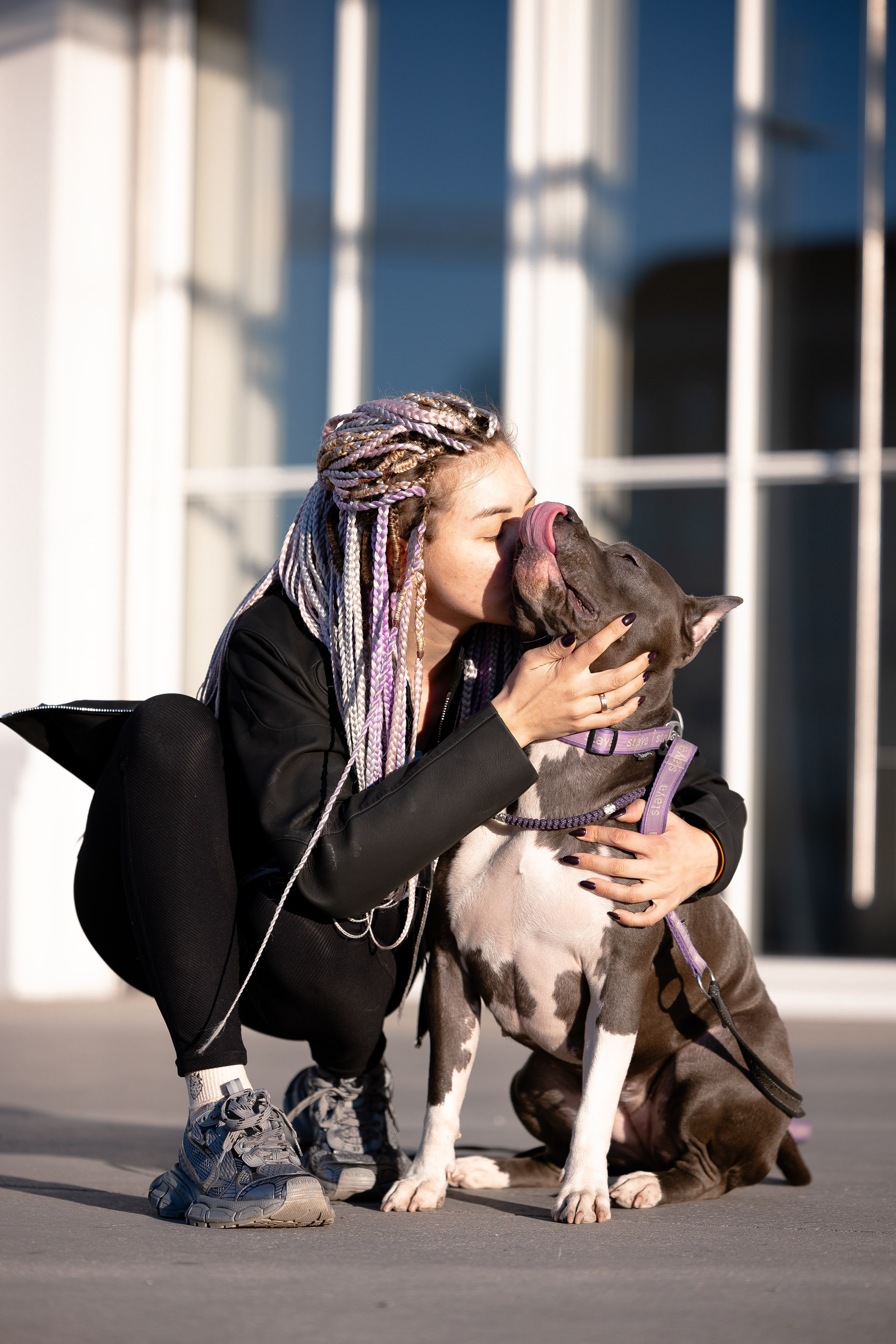 Катя, Леша, Трой и Лея. Фотограф и видеограф анималист Аганина Дарья