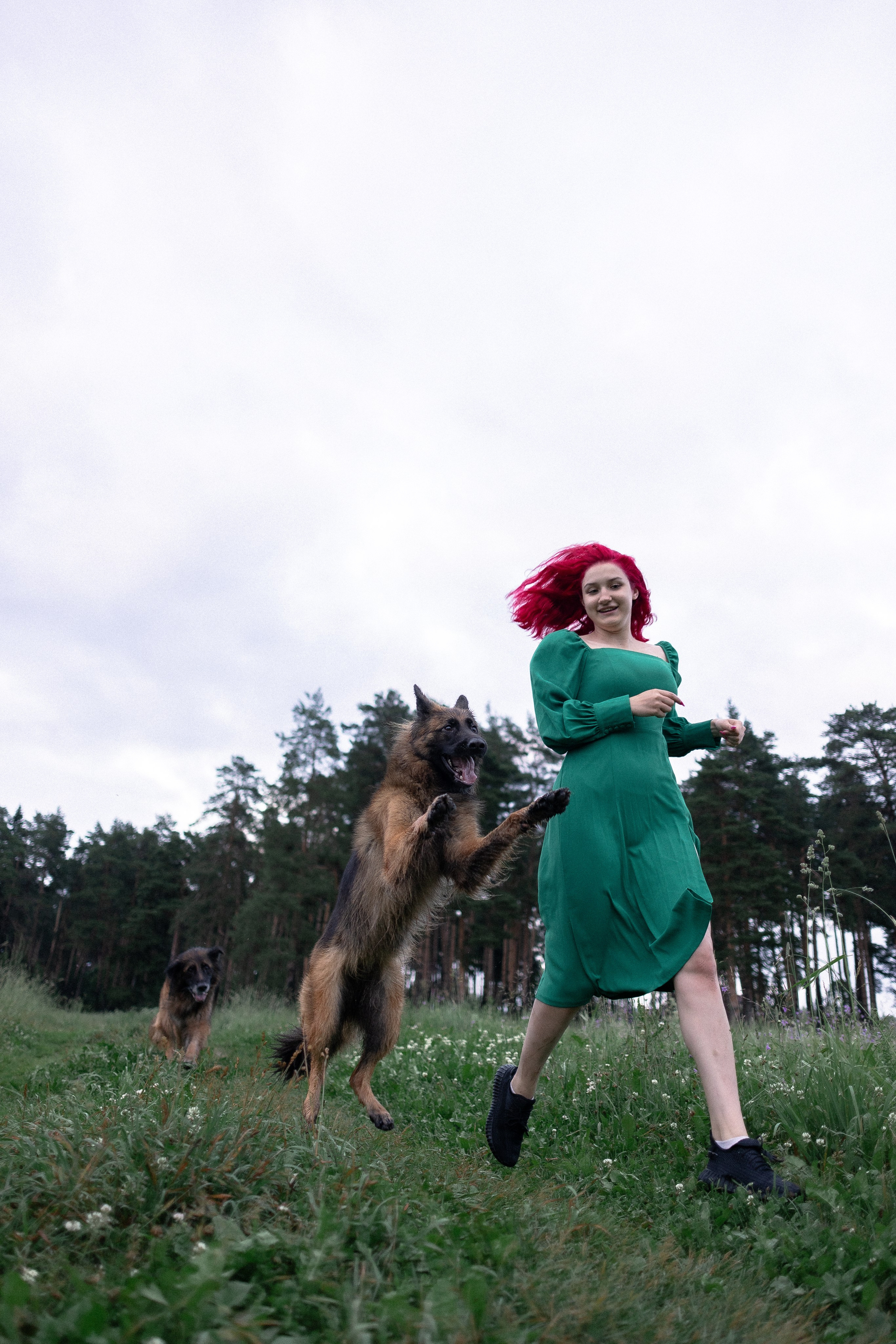 Алена, Фанни и Фрея. Фотограф и видеограф анималист Аганина Дарья