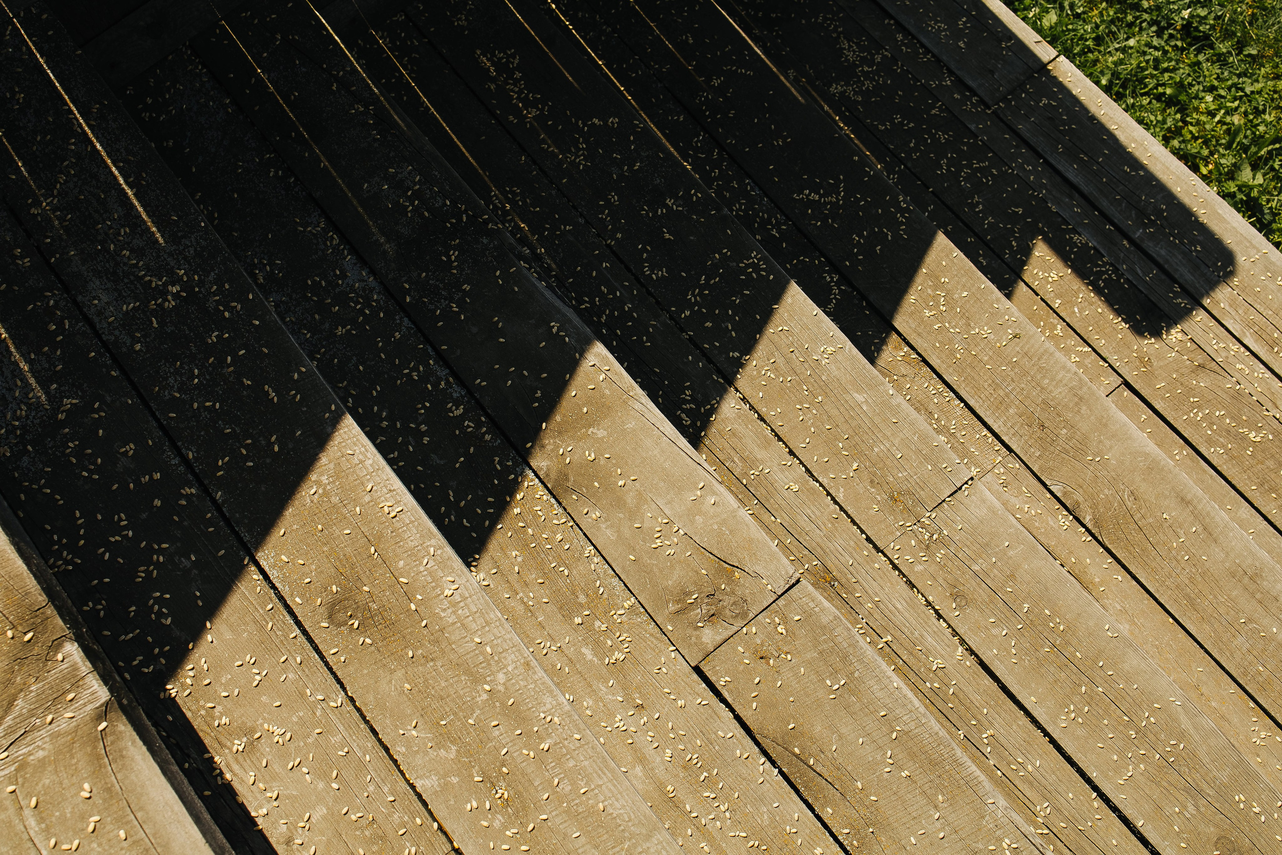 Венчание в Барабаново. Фотограф в Красноярске Надежда Воскресенская