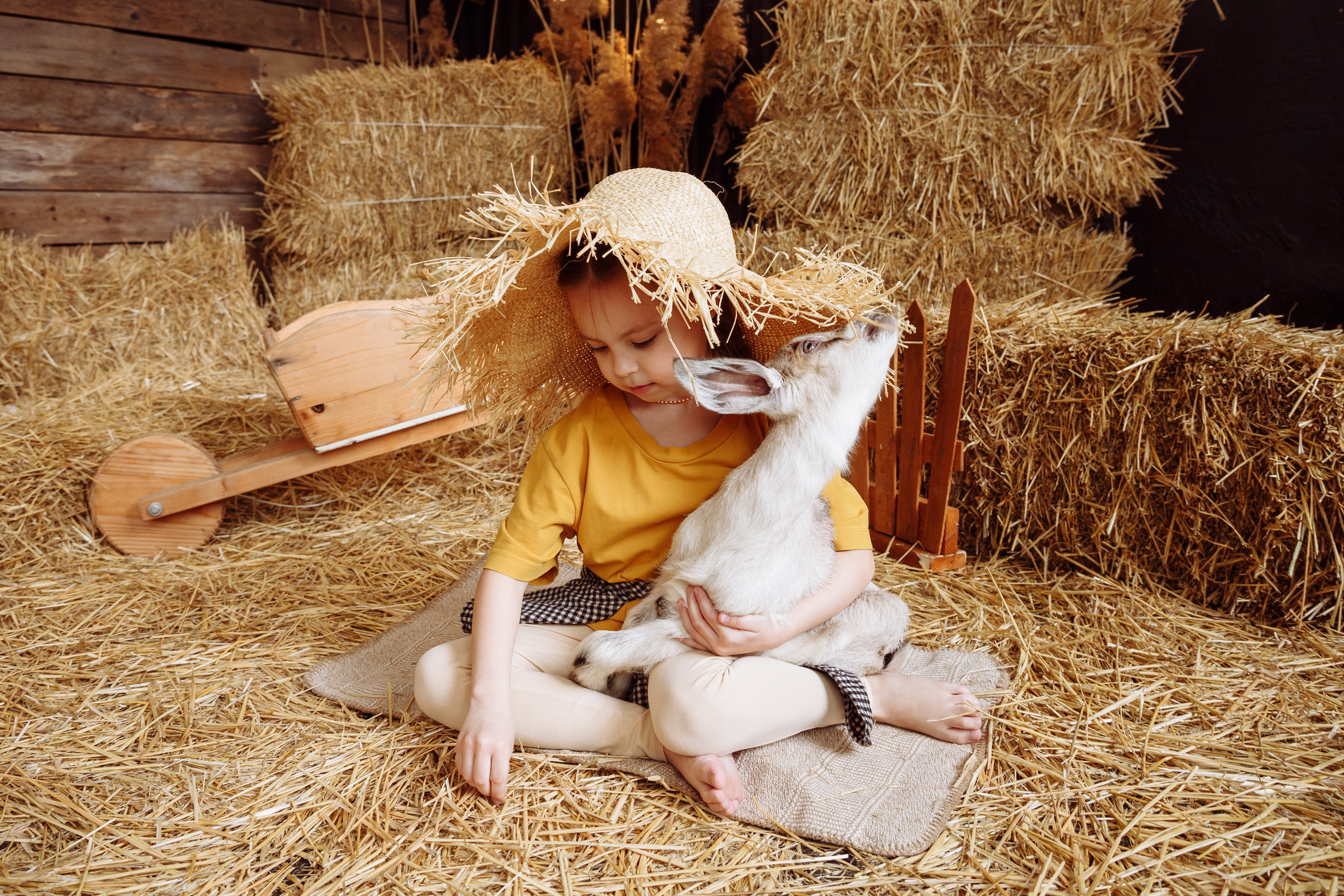 Козлик 2025. Фотограф новорожденных Тверь Диана Муляева