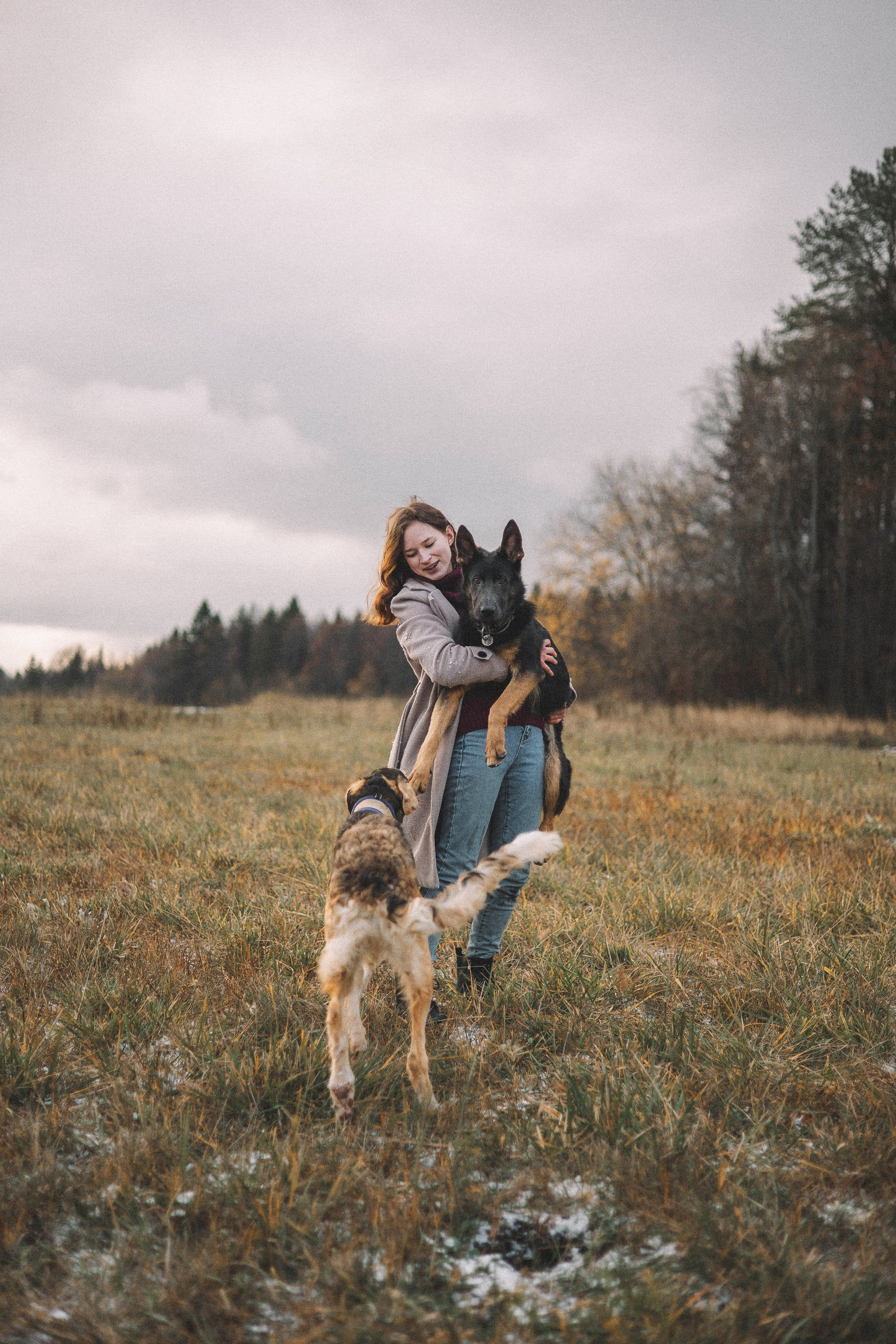 Алена, Леви и Микаса. Фотограф-анималист Богданова Полина