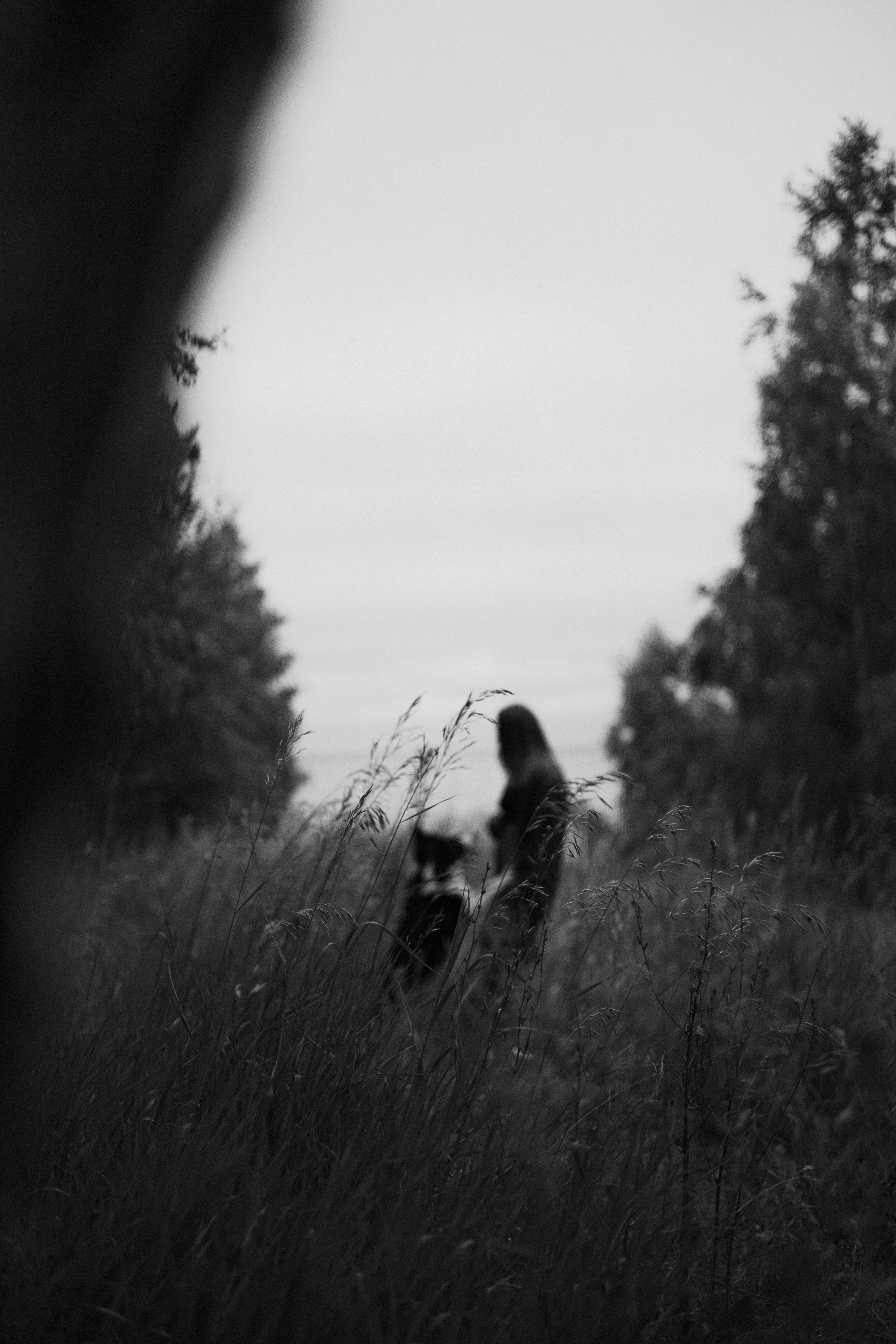 Аделя, Вандер, Шайна и Бая. Фотограф-анималист Богданова Полина