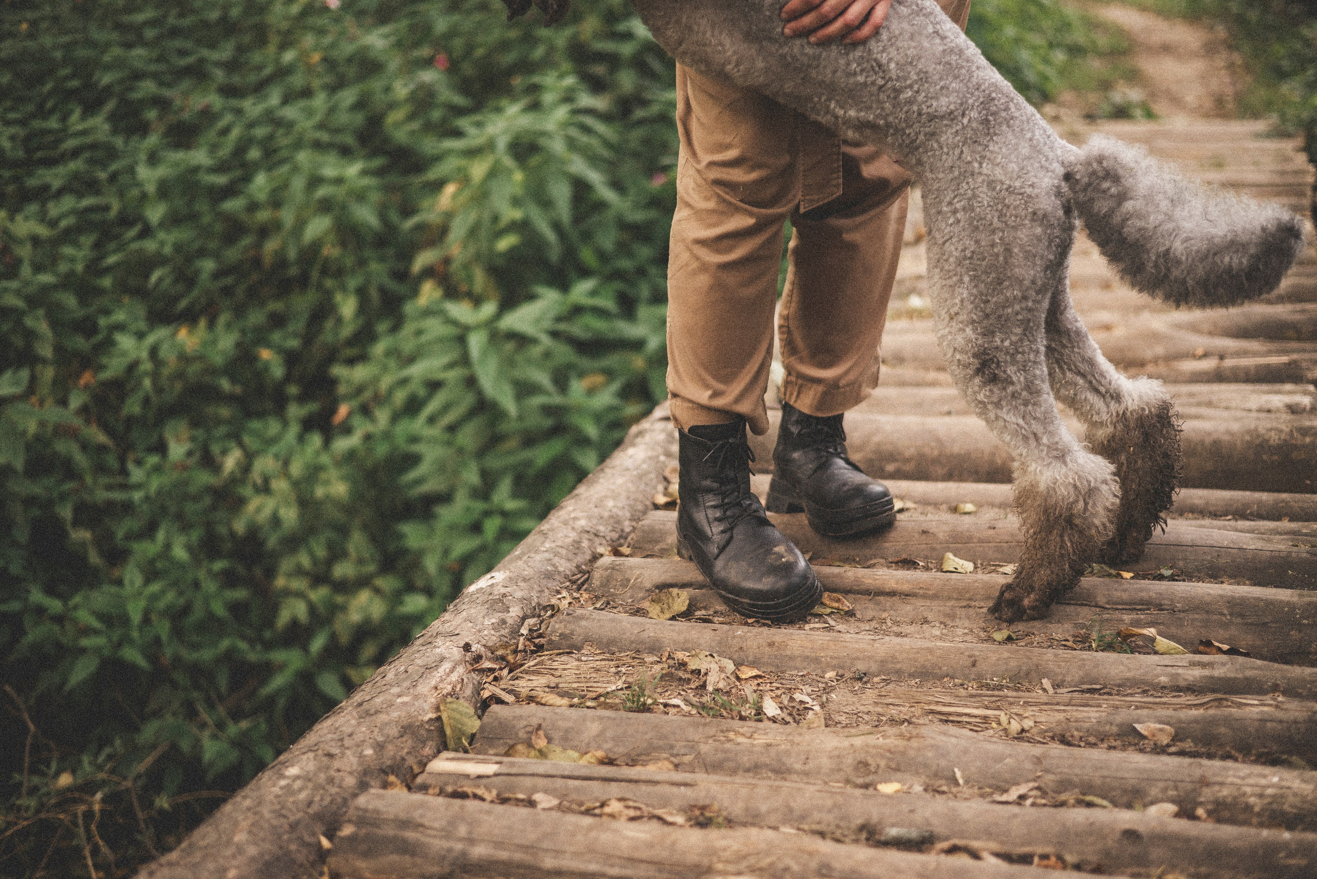 Алёна и Смоки. Фотограф-анималист Богданова Полина