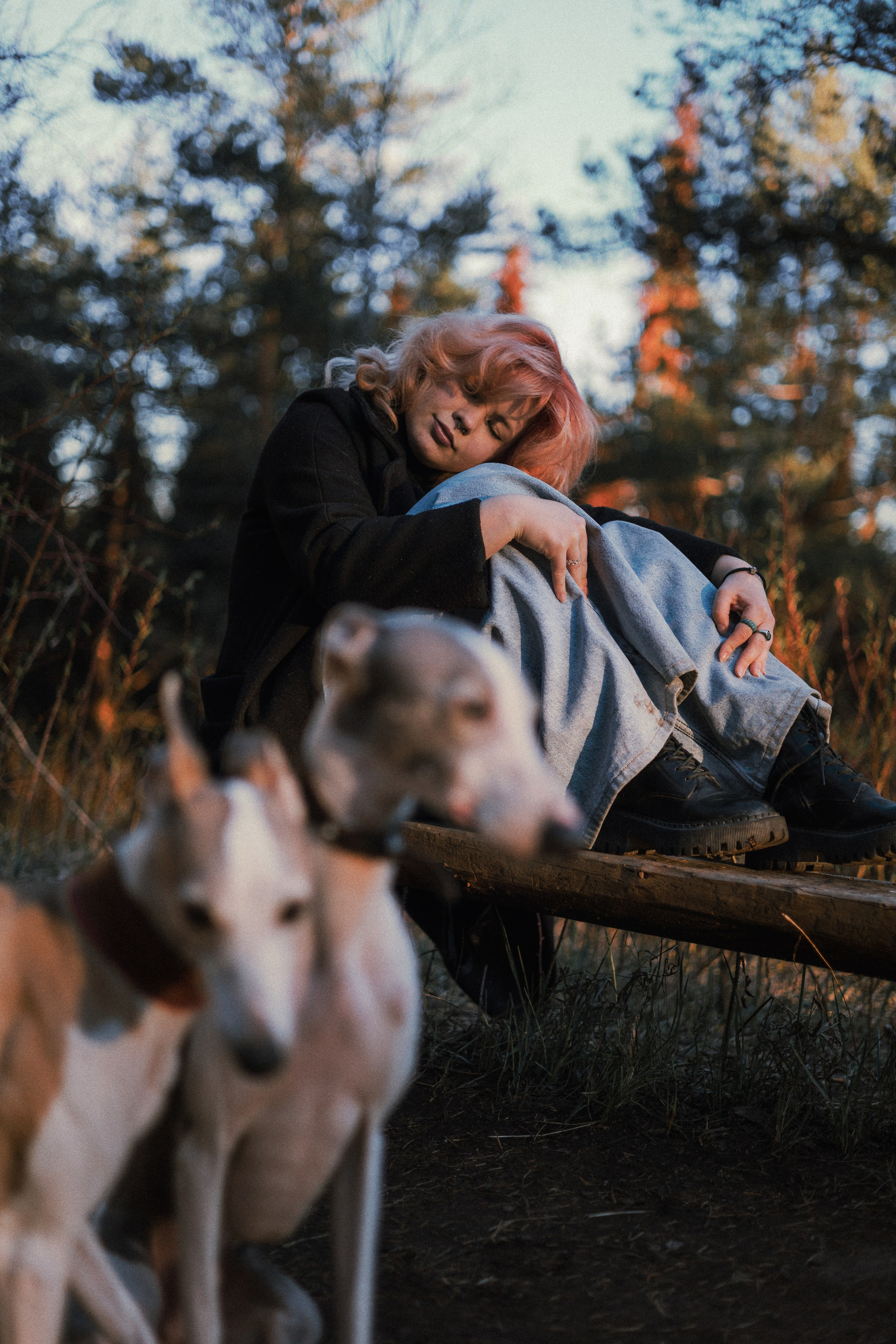 Вика, Джем и Белла. Фотограф-анималист Богданова Полина
