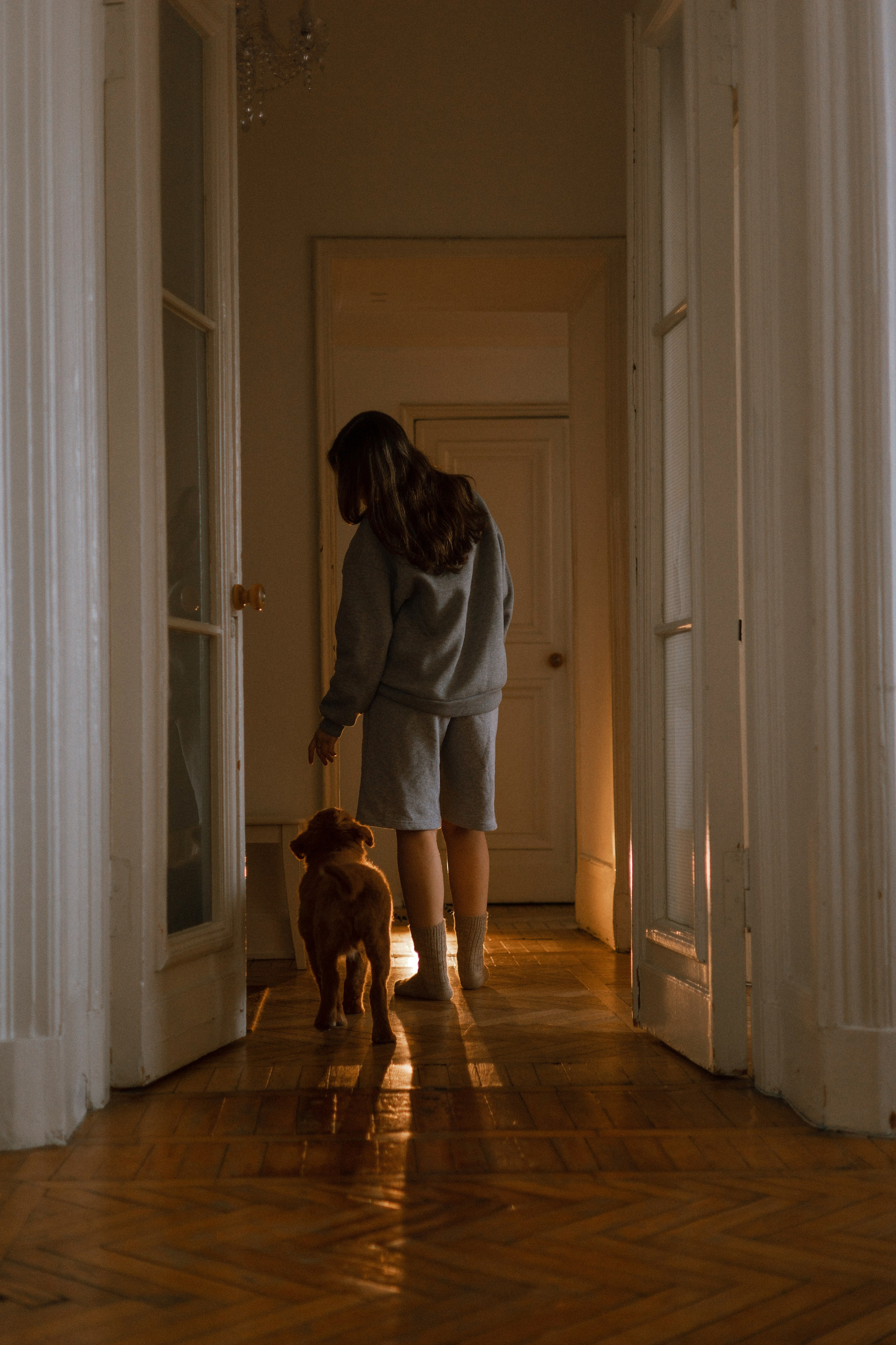 Маша, Одди и Нэвил. Фотограф-анималист Богданова Полина