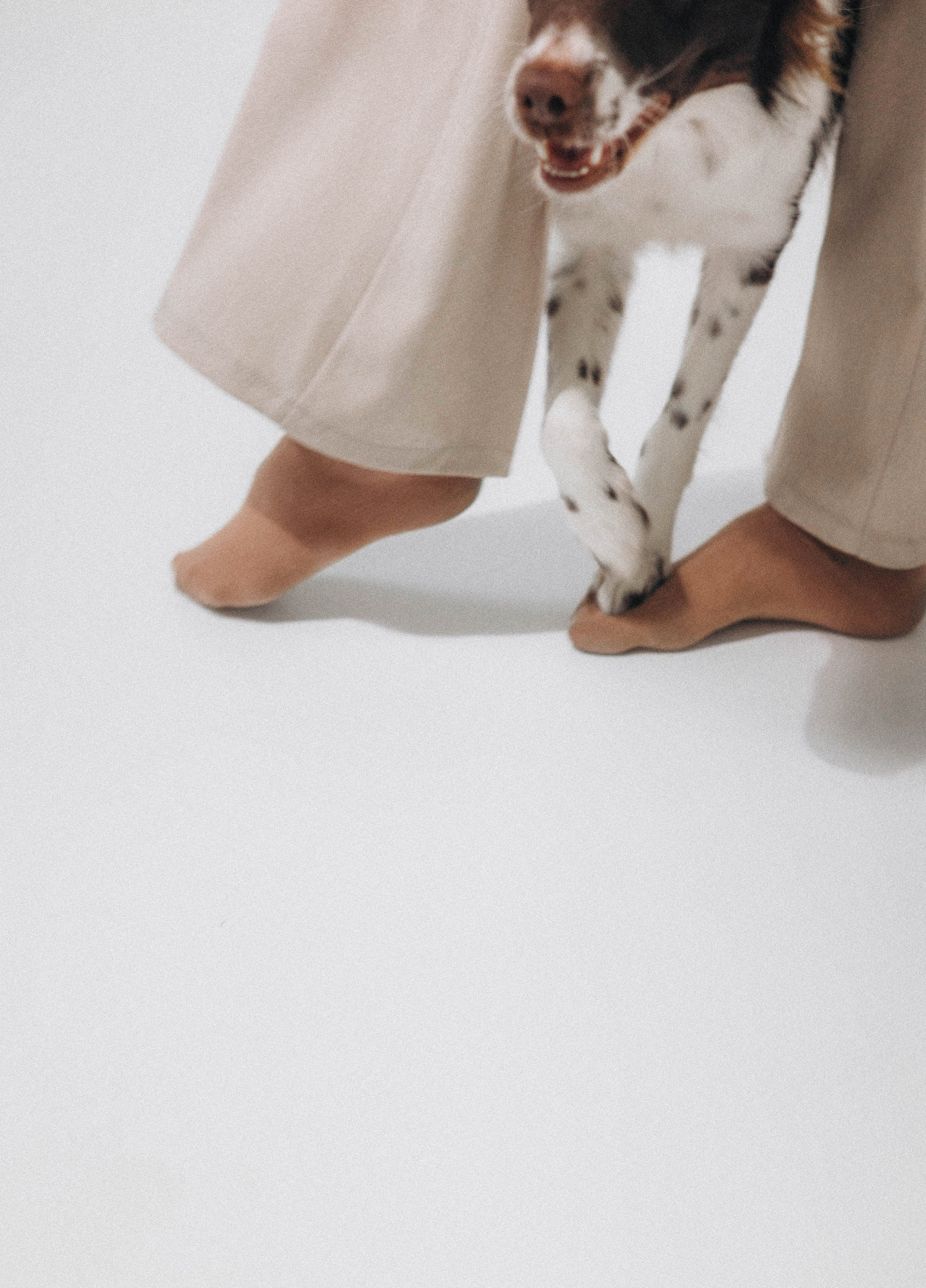 Алена и Гвендолин. Фотограф-анималист Богданова Полина