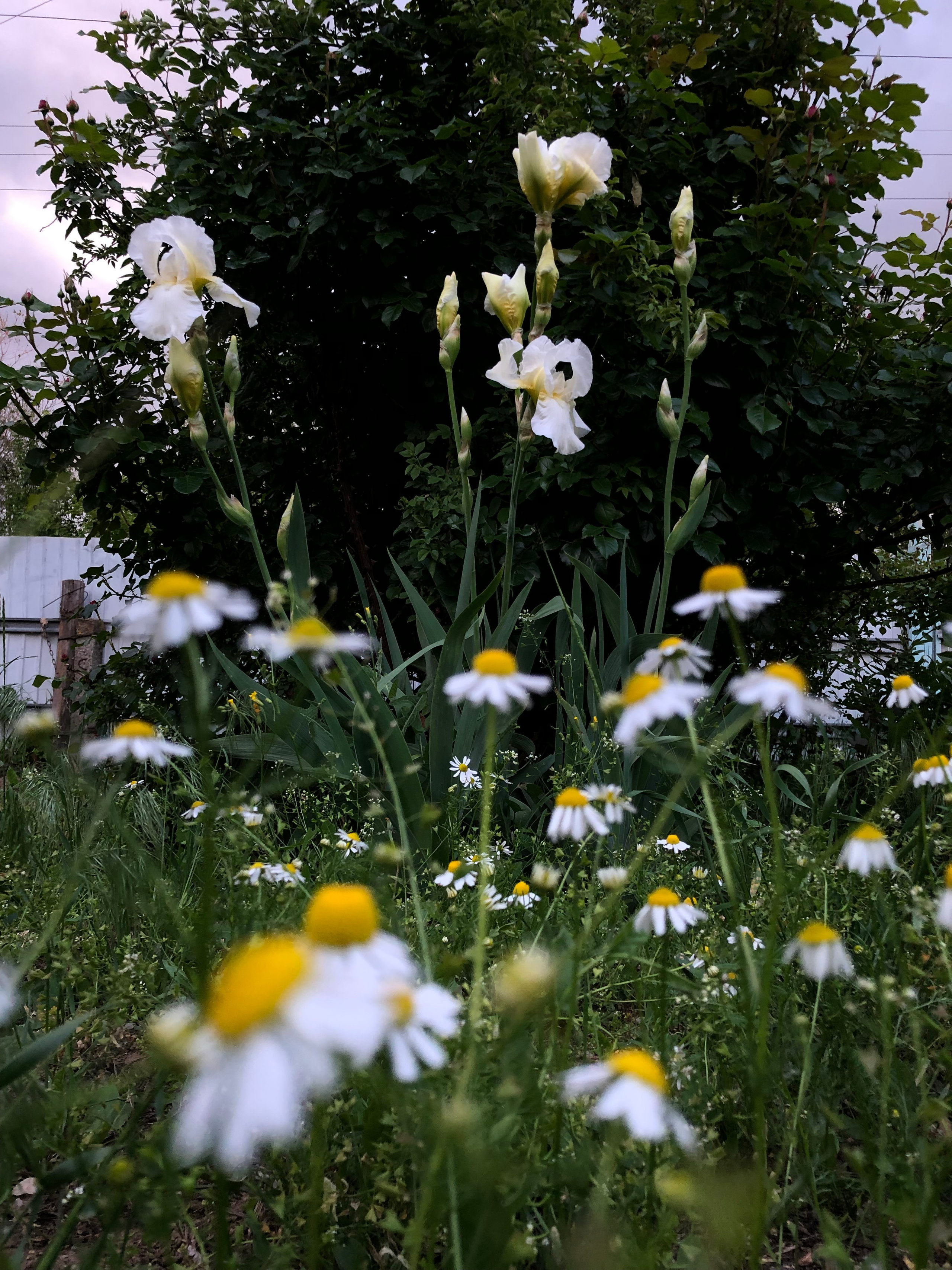Визуальный дневник. Портретный фотограф в Москве Гахраманова Екатерина