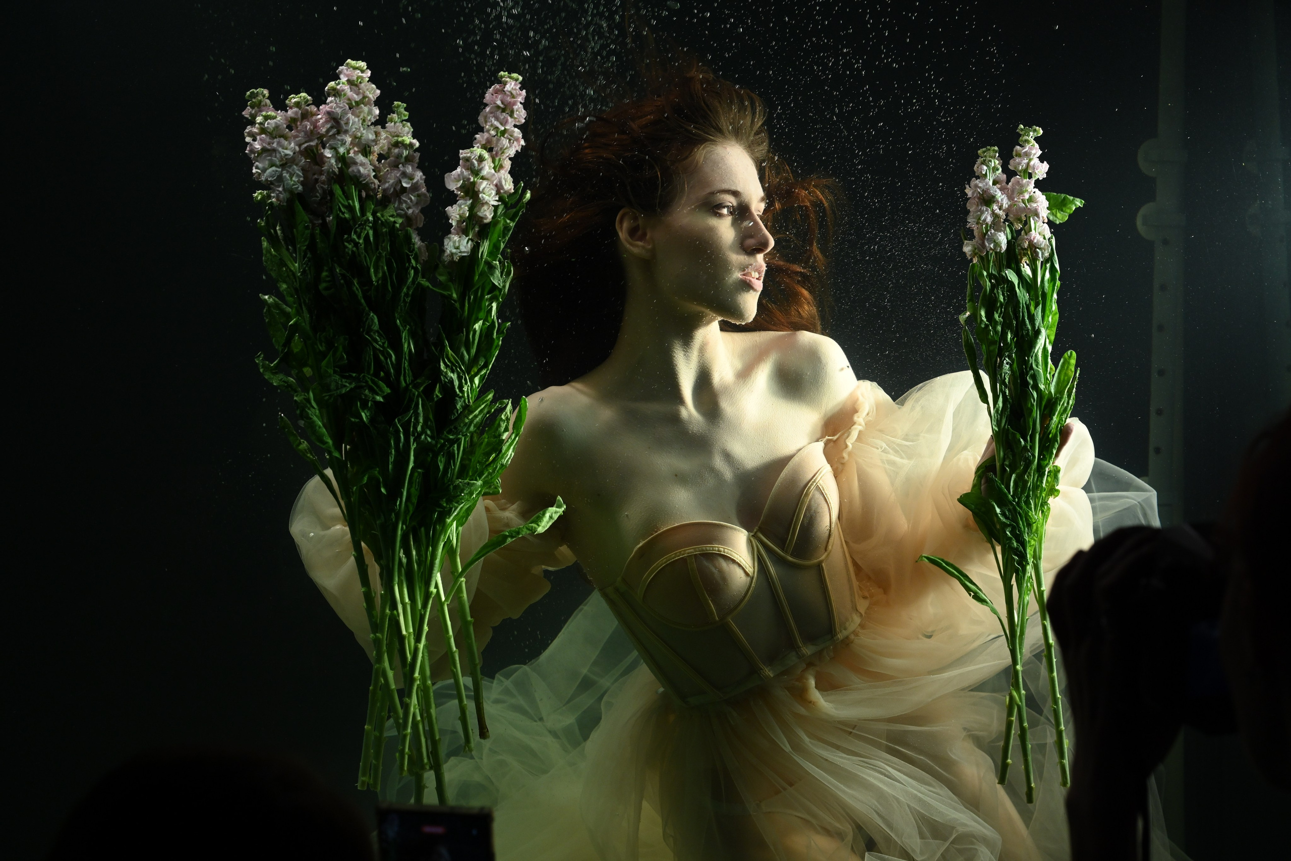 Аквариумные снимки. Фотограф в Санкт-Петербурге Сафронов Николай