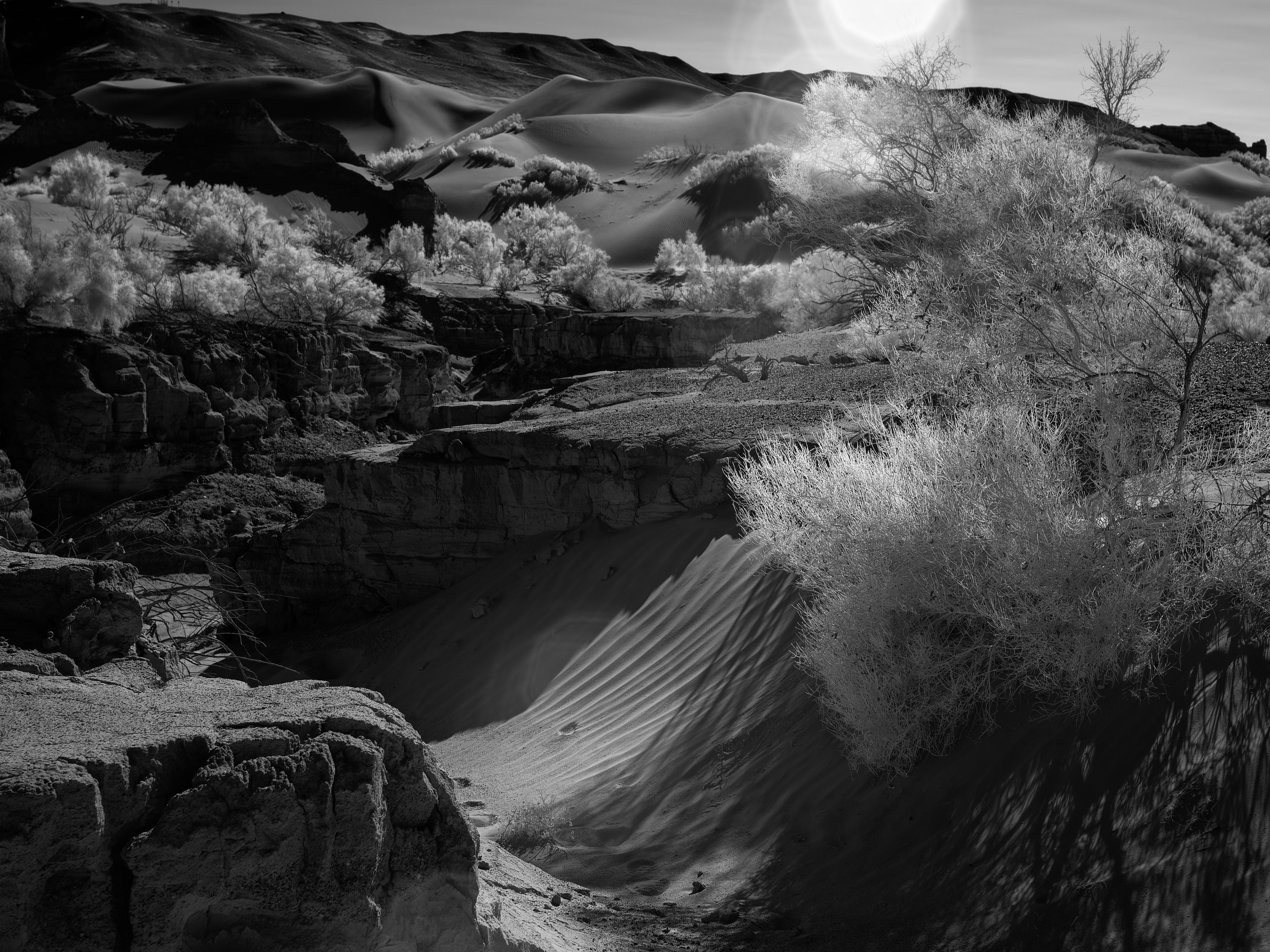 Экспедиция в Монголию (Гоби). Семоха Валерий. Фотограф