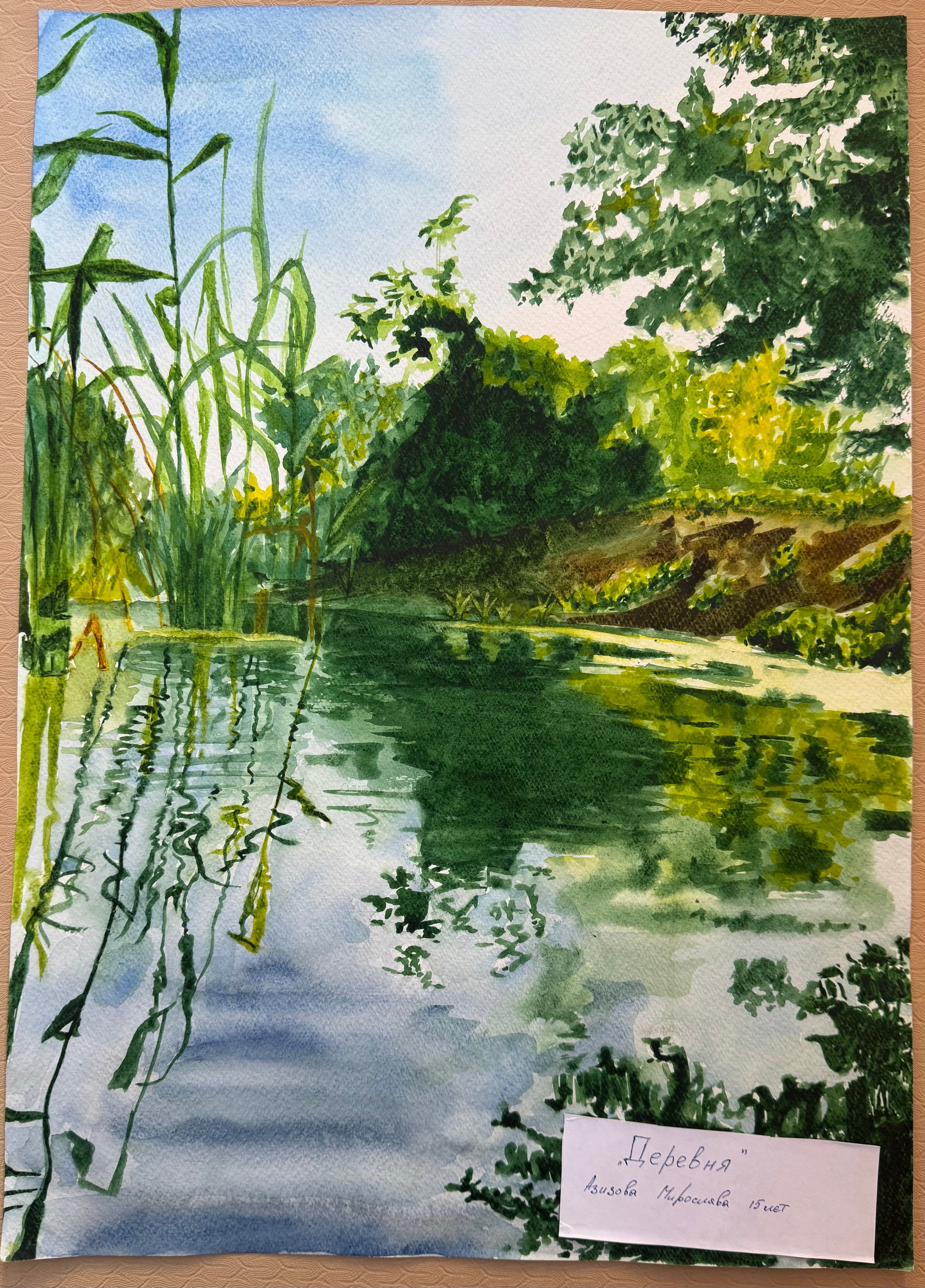 Азизова Мирослава. АНО «Центра социальных проектов «Путь в большой мир»