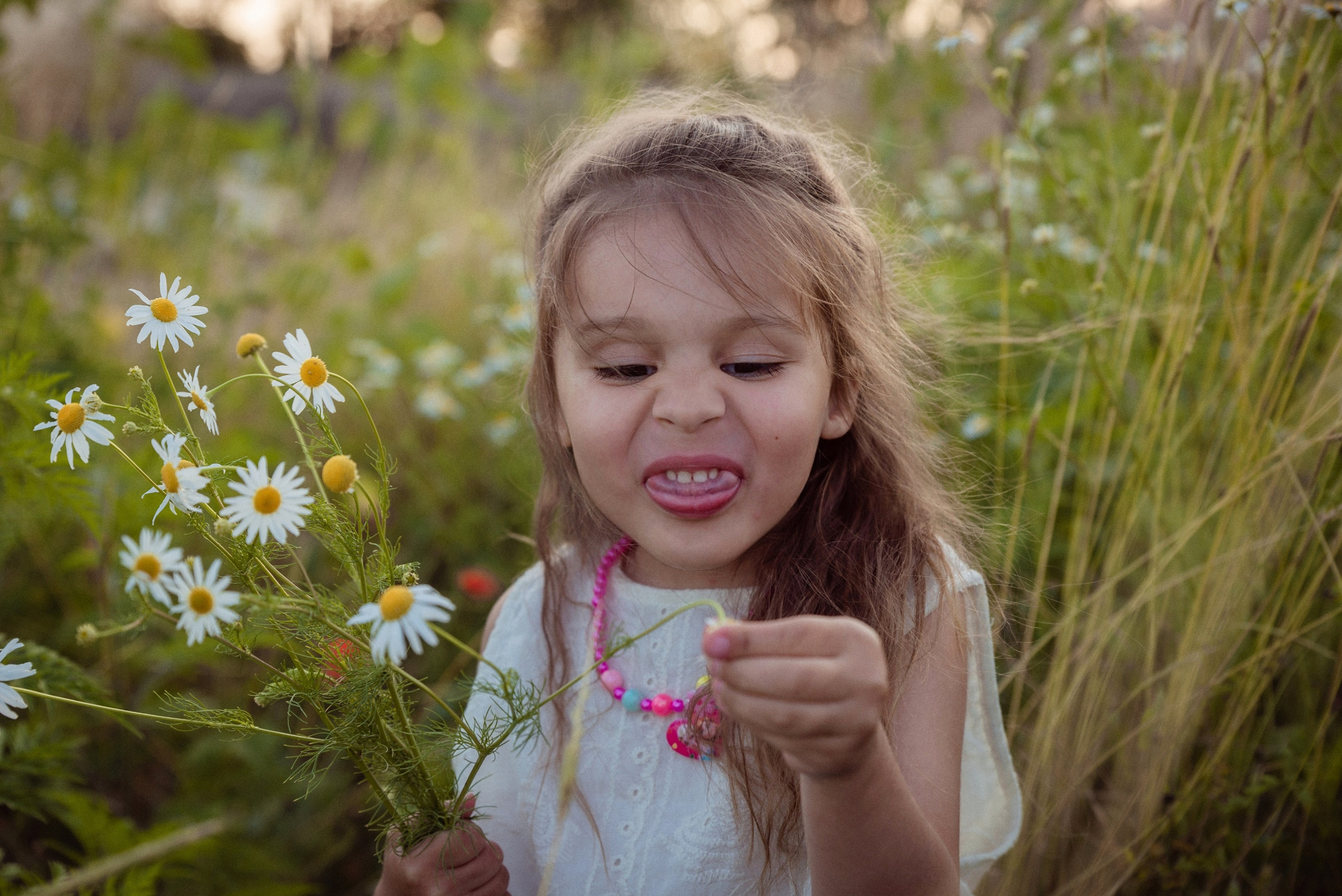 Ромашки. Семейный Фотограф в Краснодаре и крае