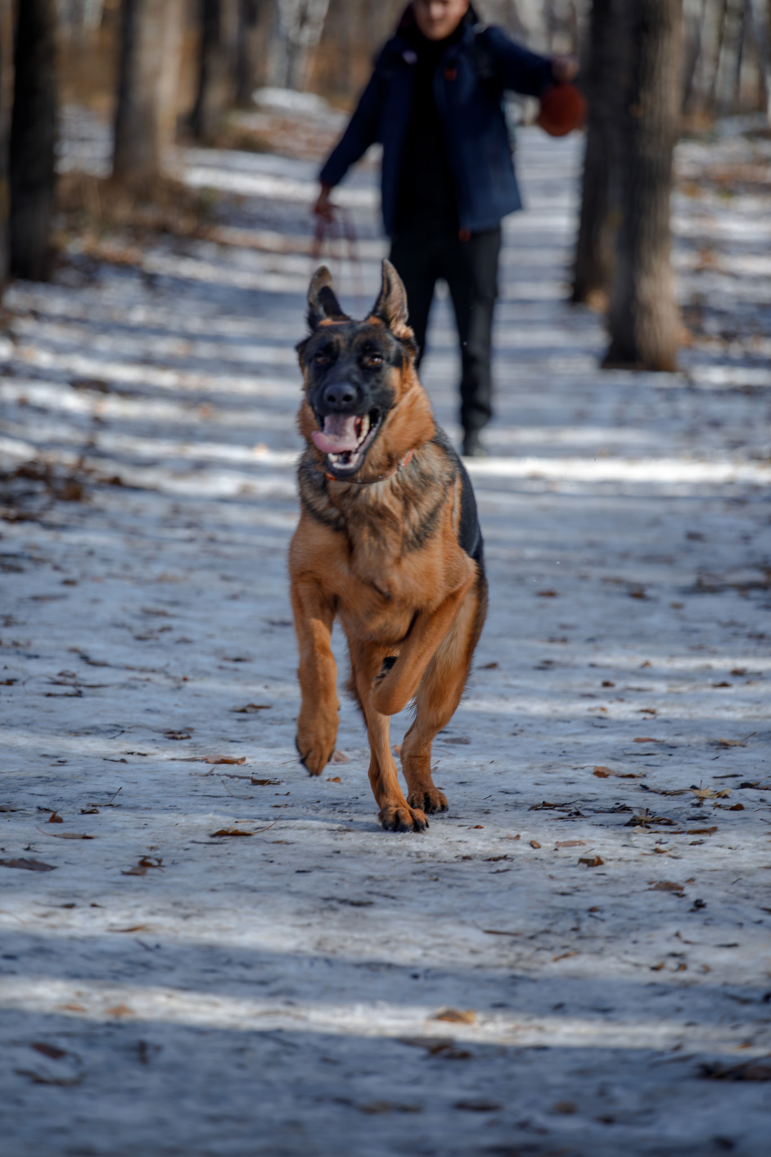 Ди и Джема. Фотограф Екатерина Козловская