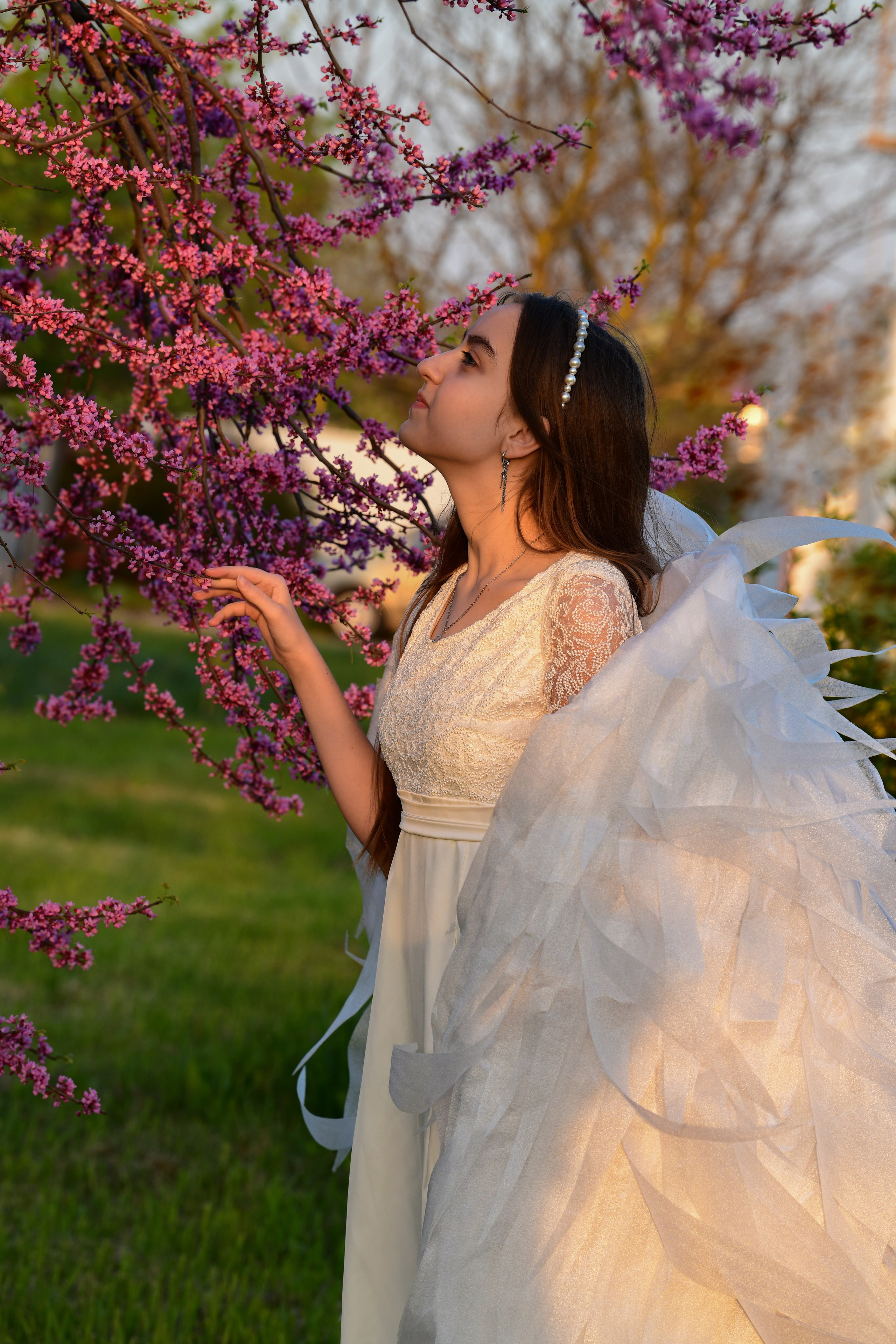 Крылатые истории. Главная