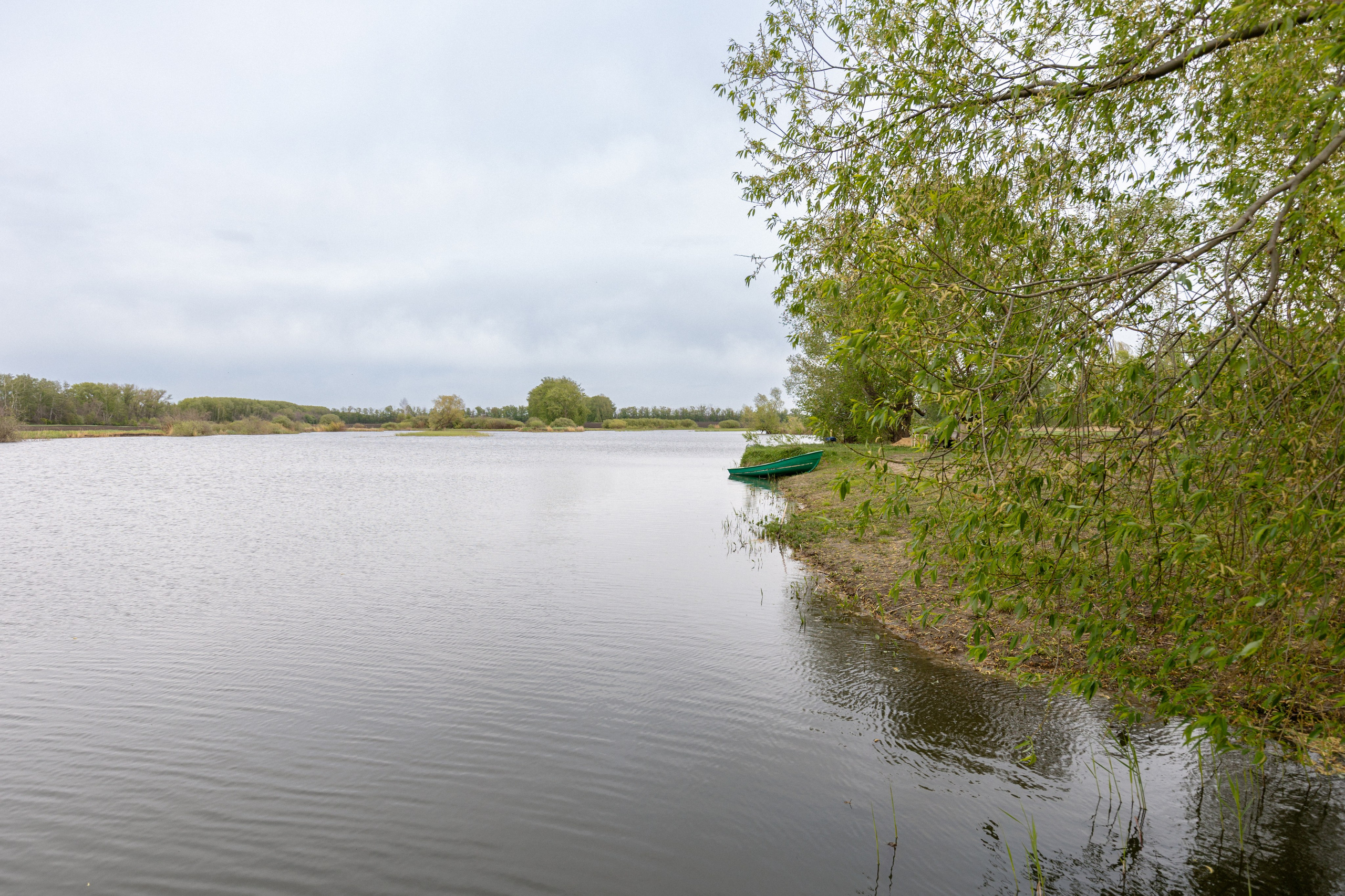 Приусадебный участок. Владислав Волков | Фотография и видеосъемка в Воронеже