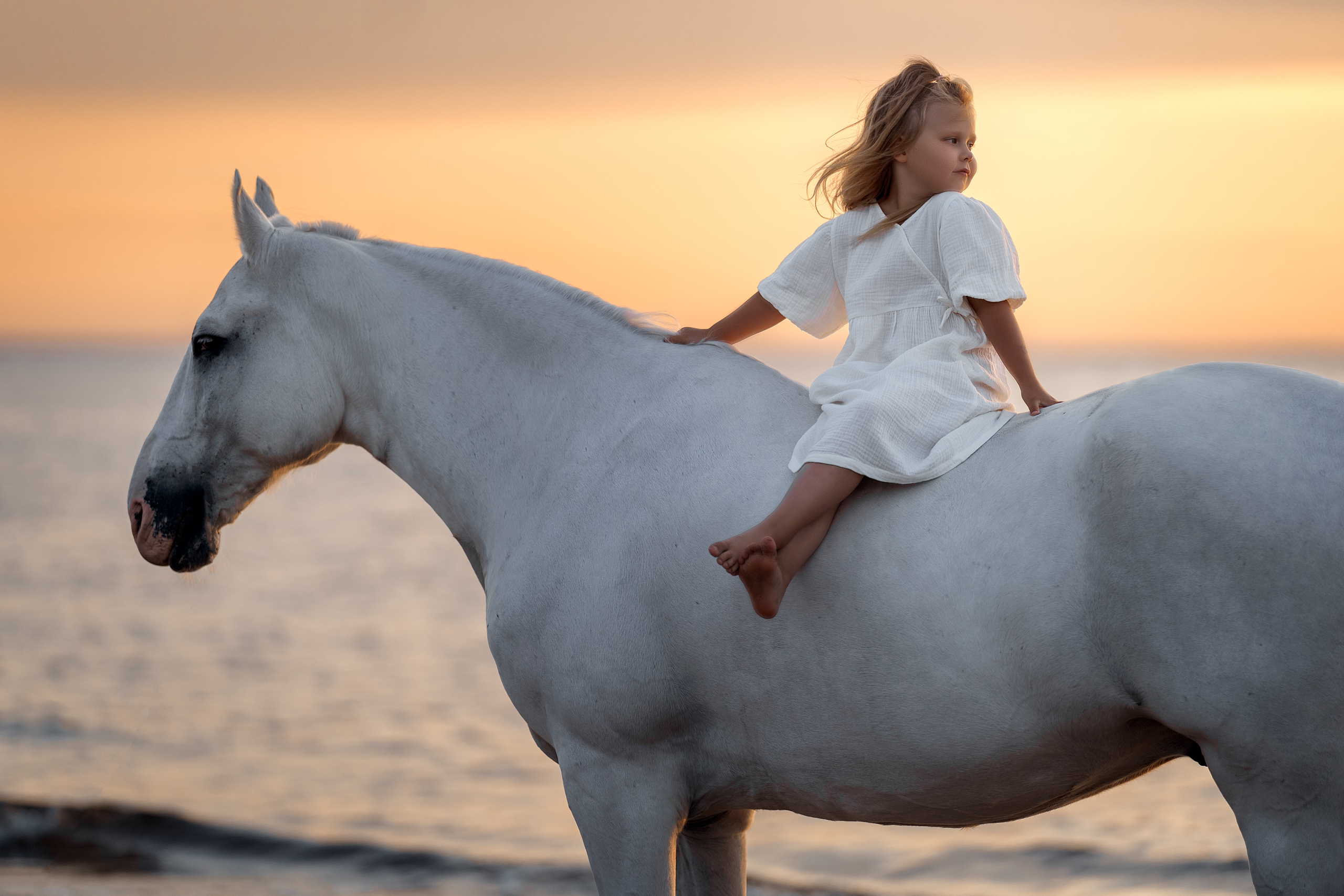 Фотосессии с лошадьми. Фотограф Артемьева Катерина|фотосессии с лошадьми