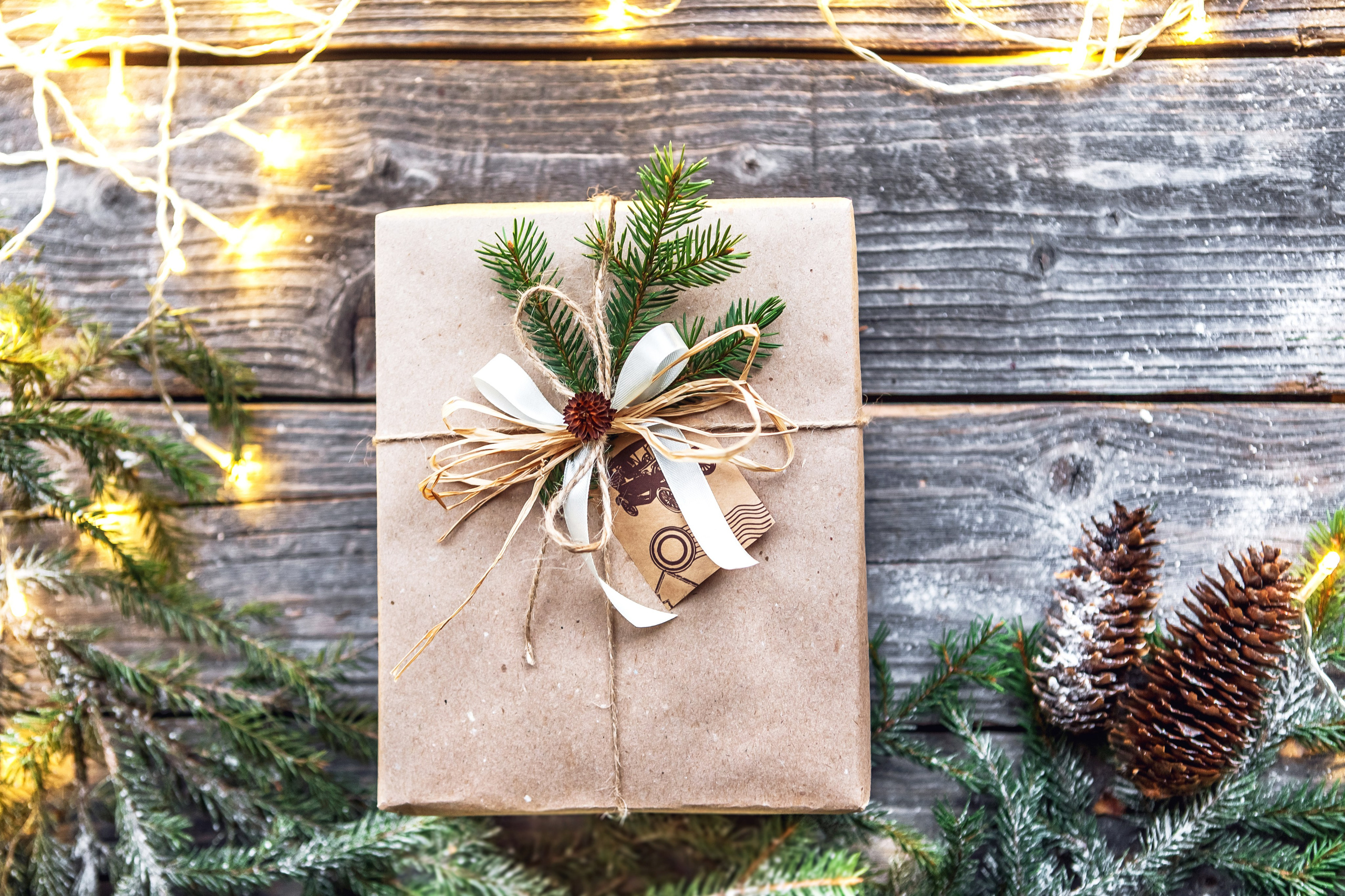 Интерьеры и предметная съемка. Портретный и семейный фотограф в Минске