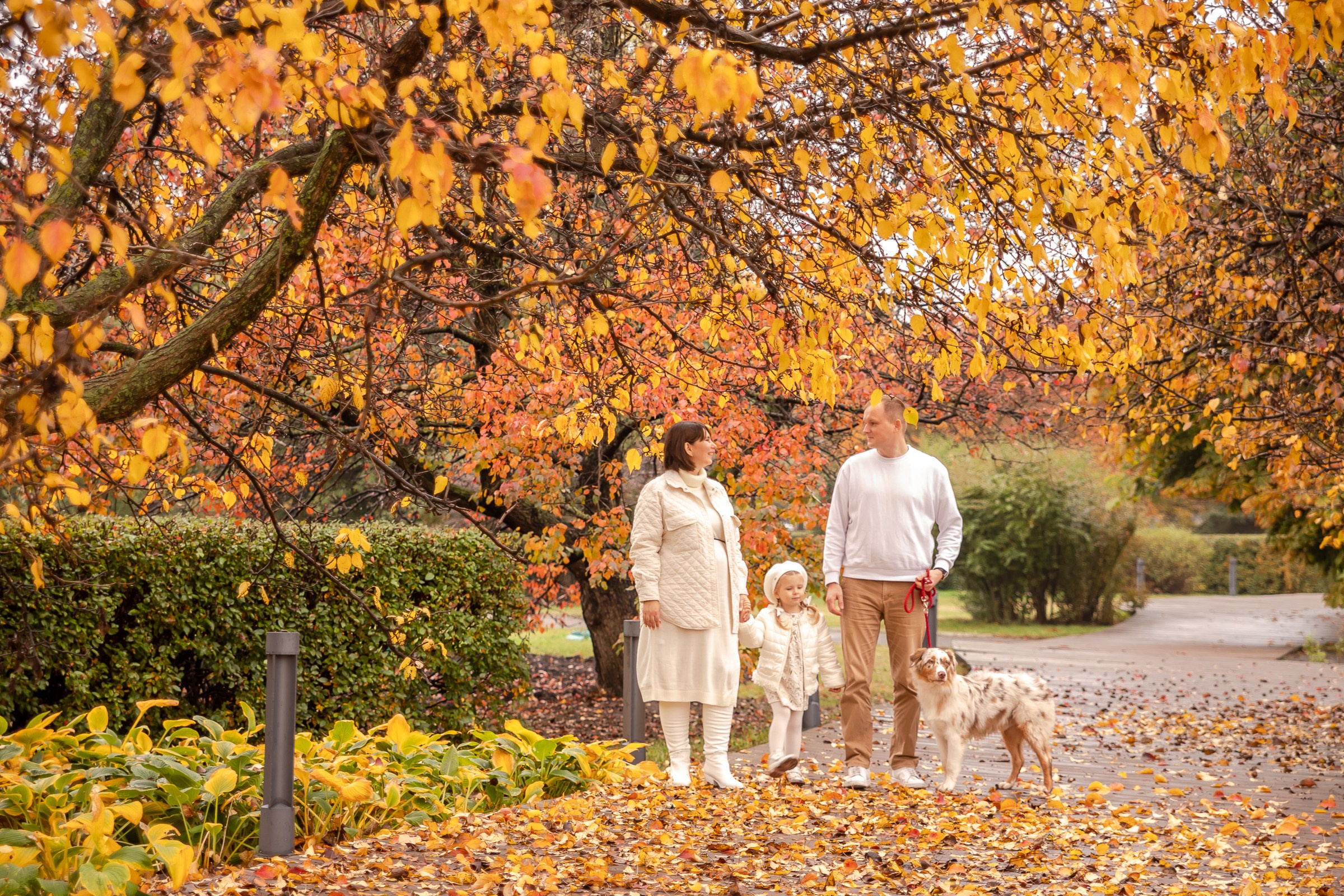 Семейная фотосессия. Фотограф Галина Трухина