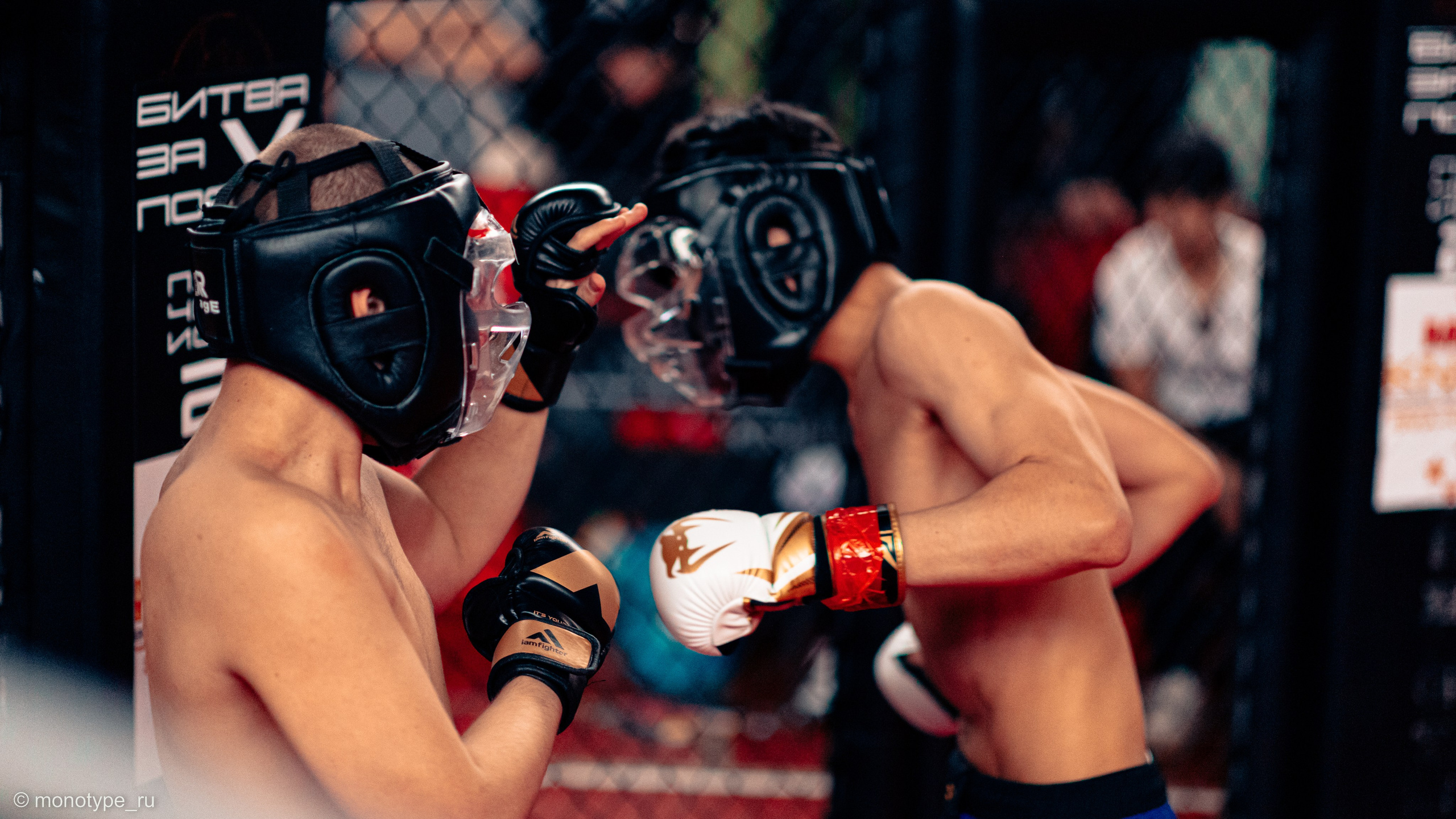 MMA. Бойцовский турнир