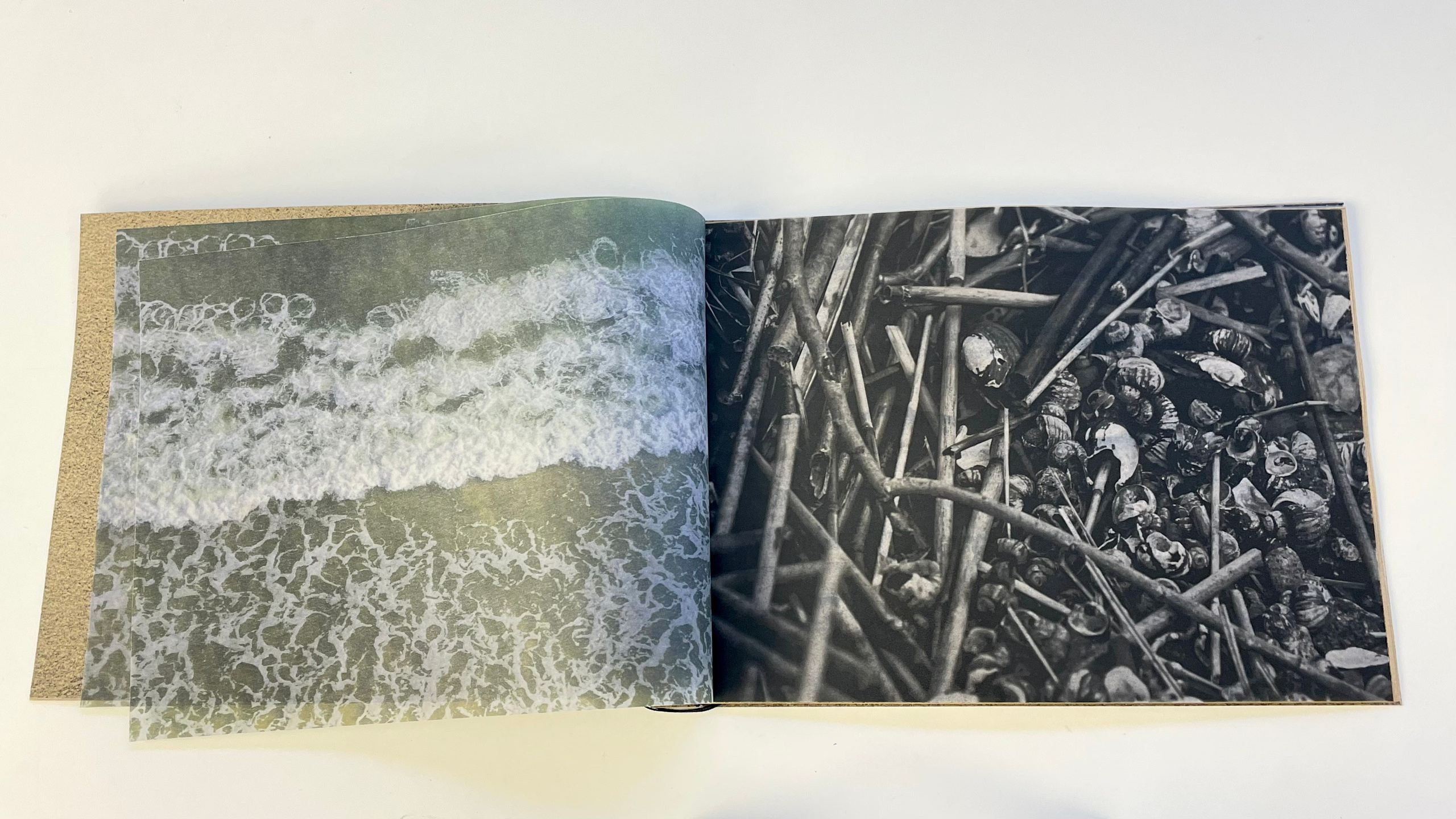 Холодный пляж. Катерина Эделева