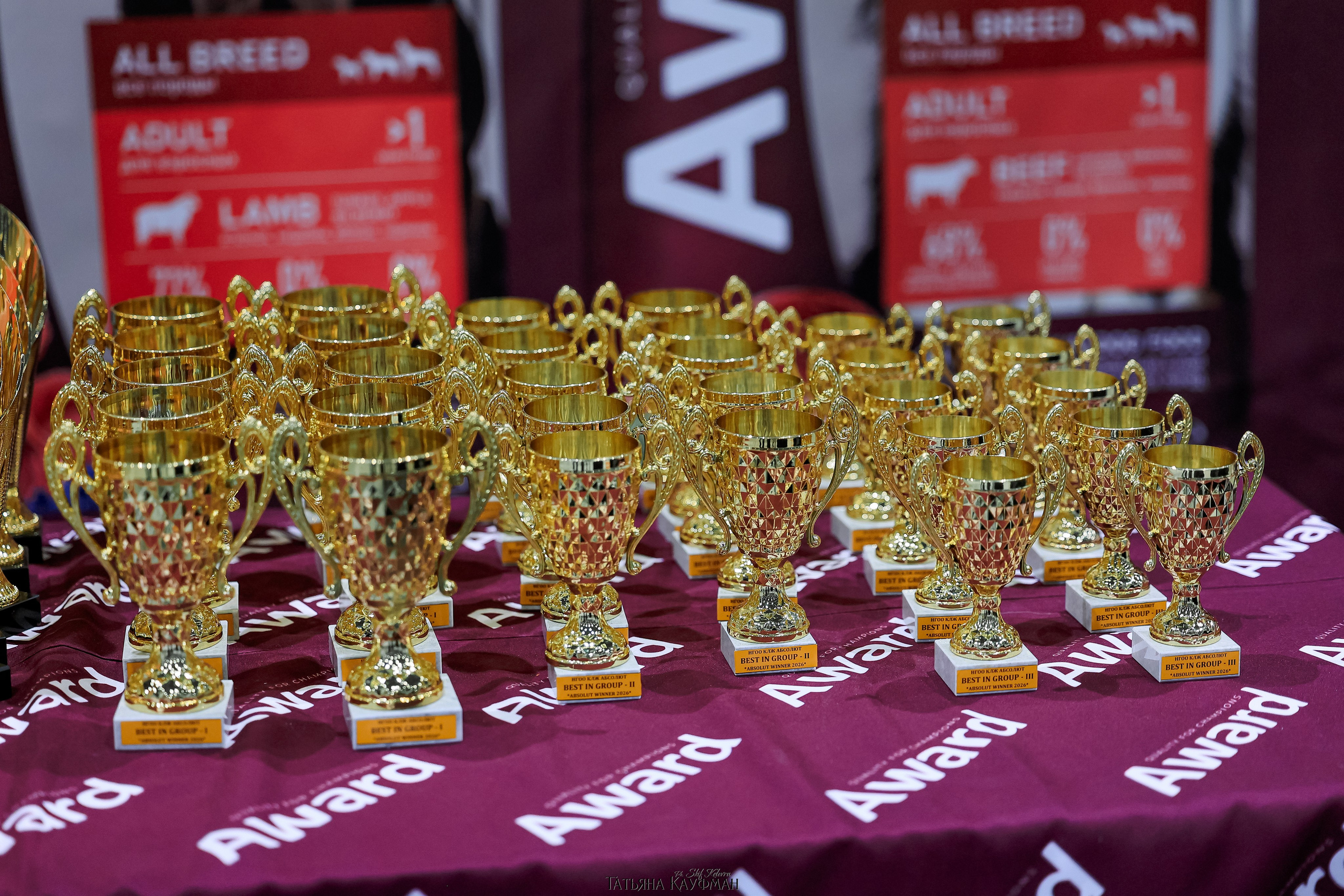 выставка собак в Новосибирске ABSOLUT WINNER-2026, Рейтинговая выставка собак