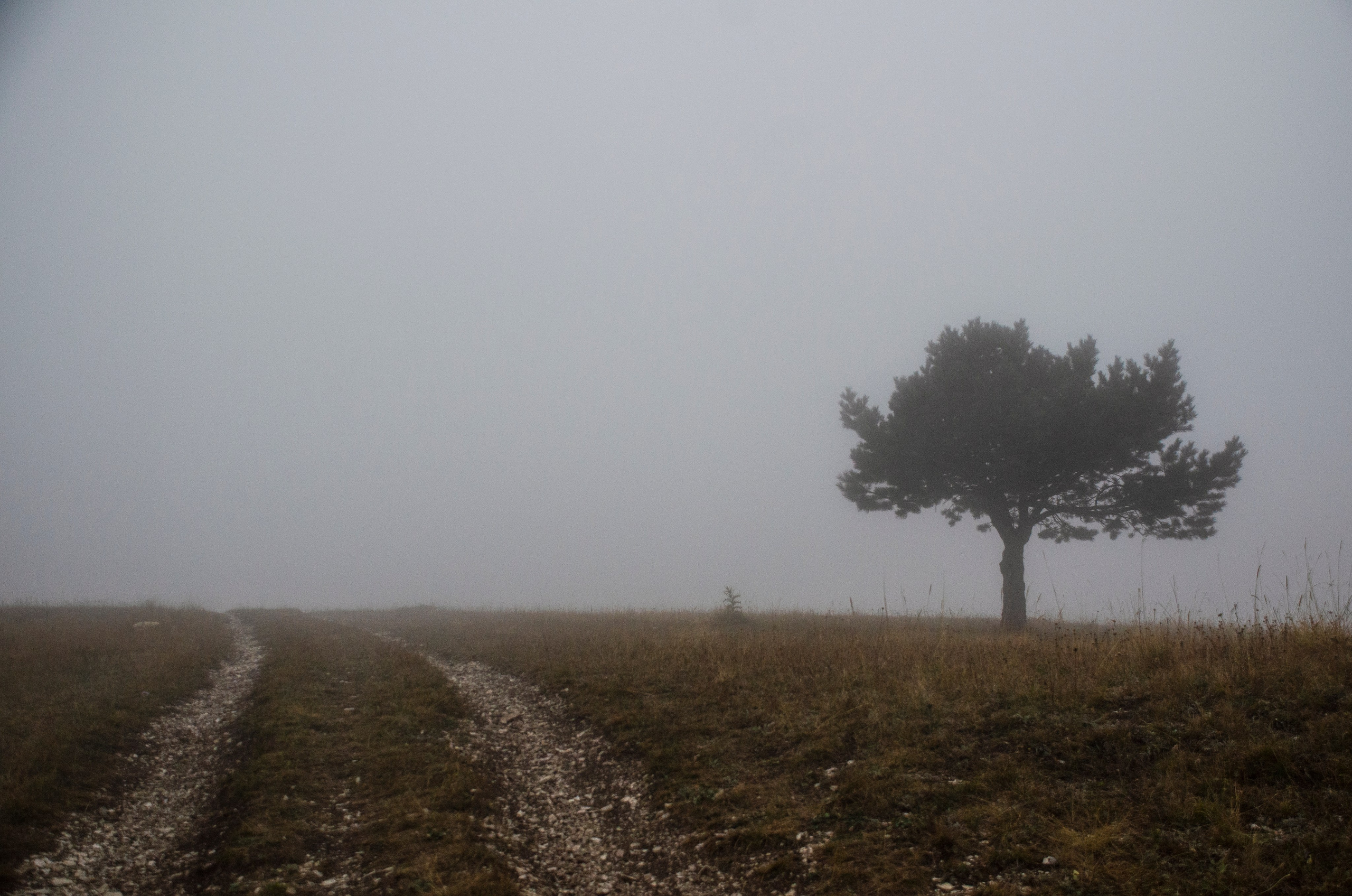 Природа. Фотограф Владимир Охрименко
