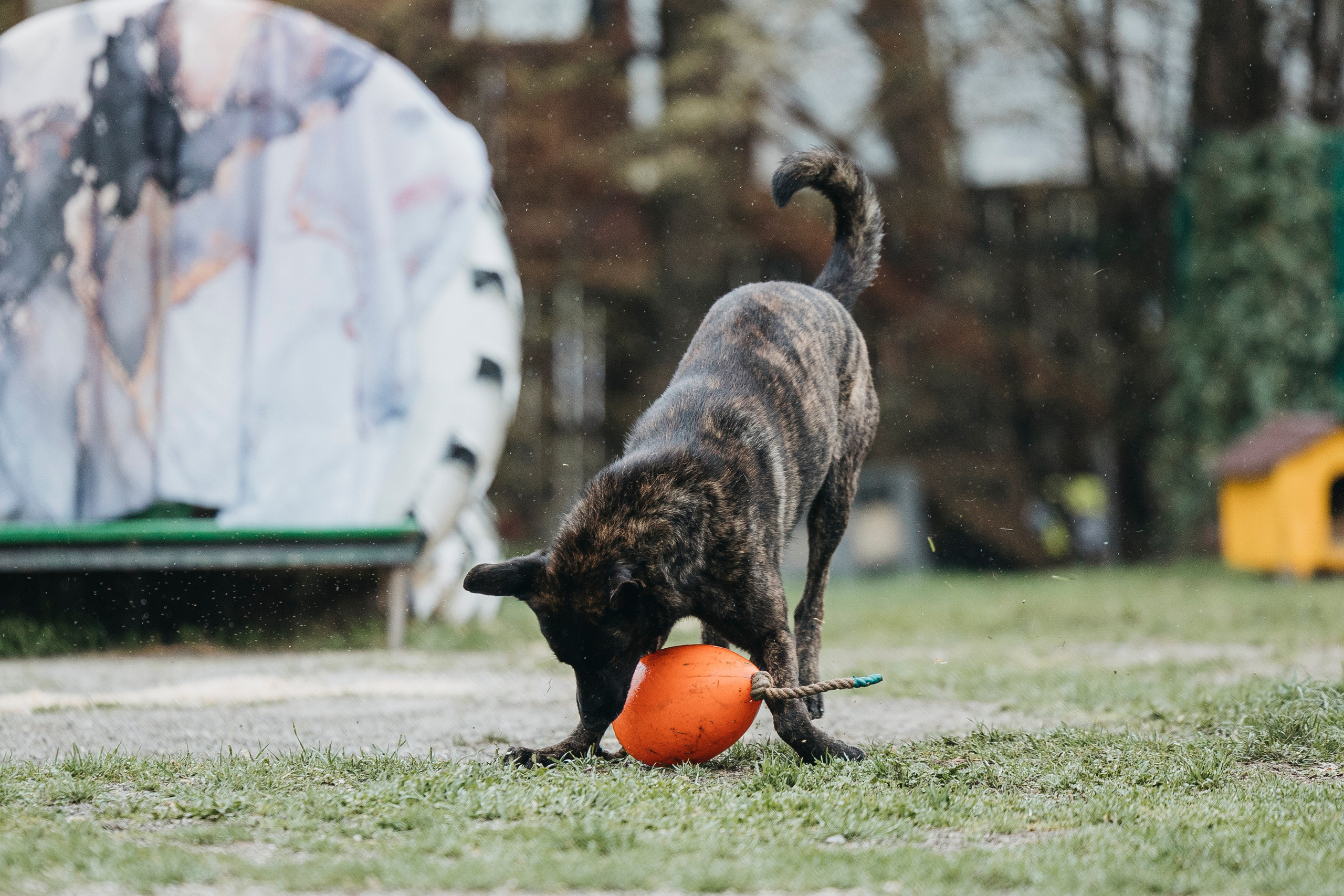 Геленджик Мондьоринг. Фотограф-анималист Анна Маринич
