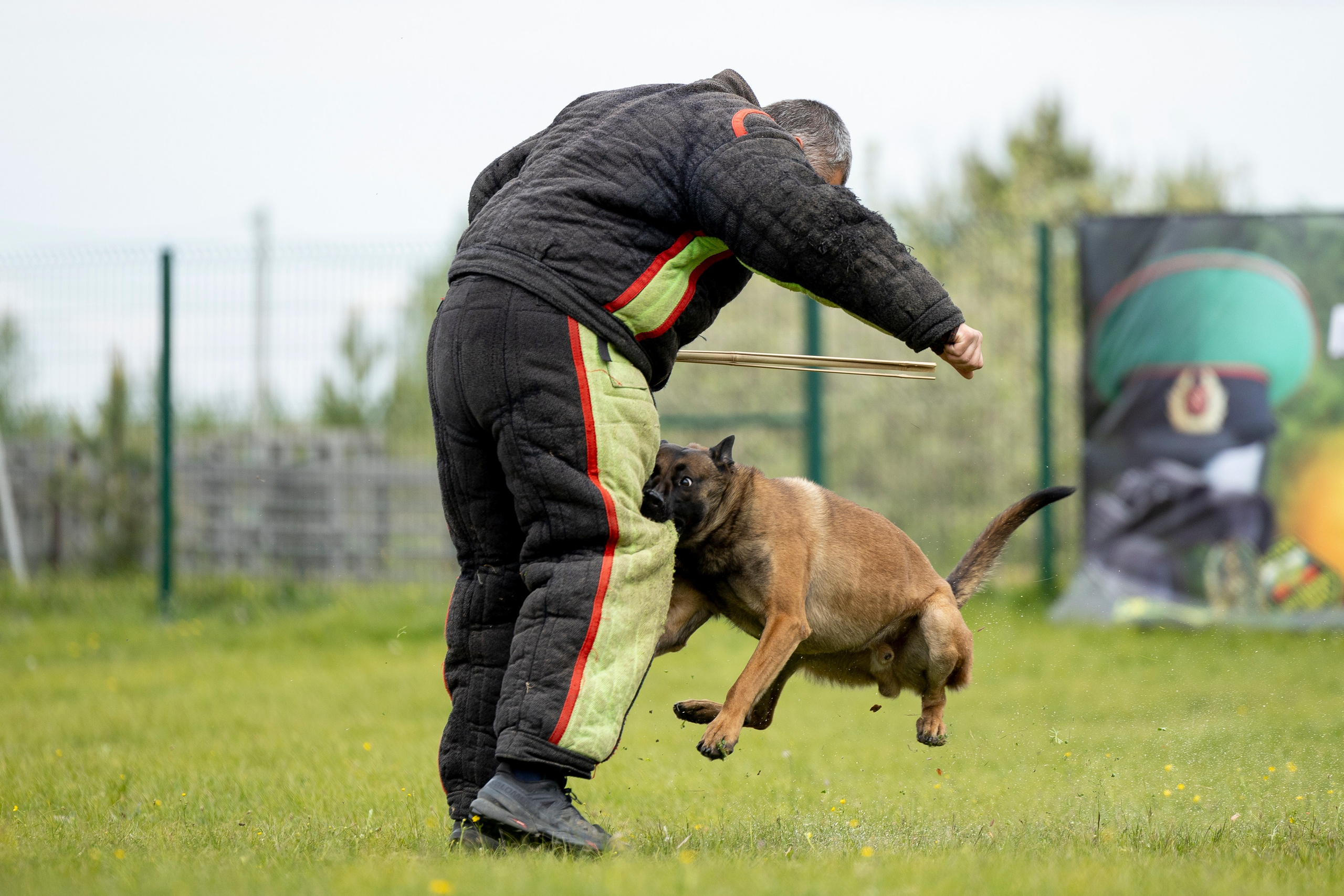 Испытания по мондьорингу в Нижнем Новгороде. Фотограф-анималист Анна Маринич