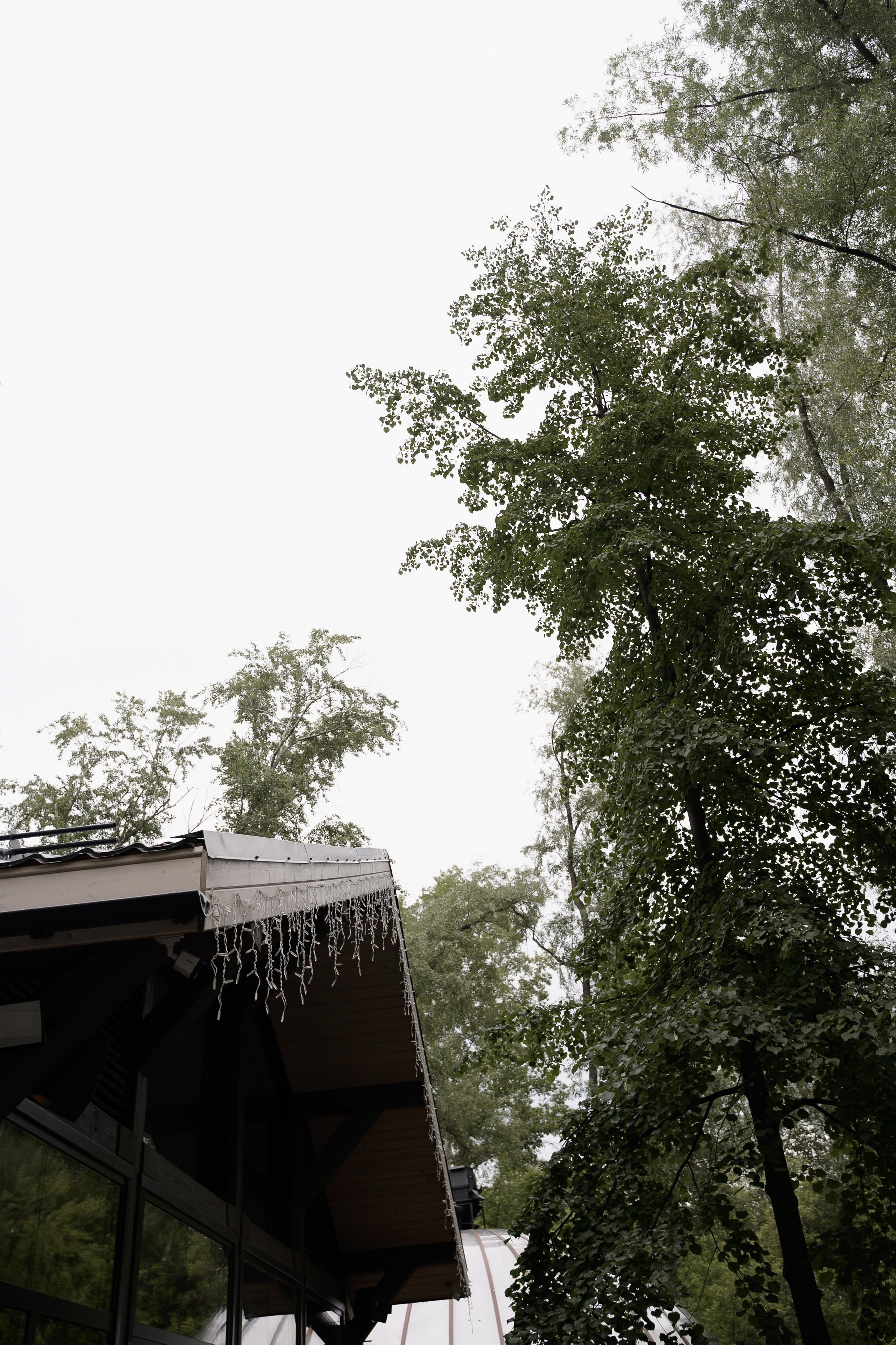 Андрей & Ксения. Свадебный фотограф в Новосибирске Алена Цизман