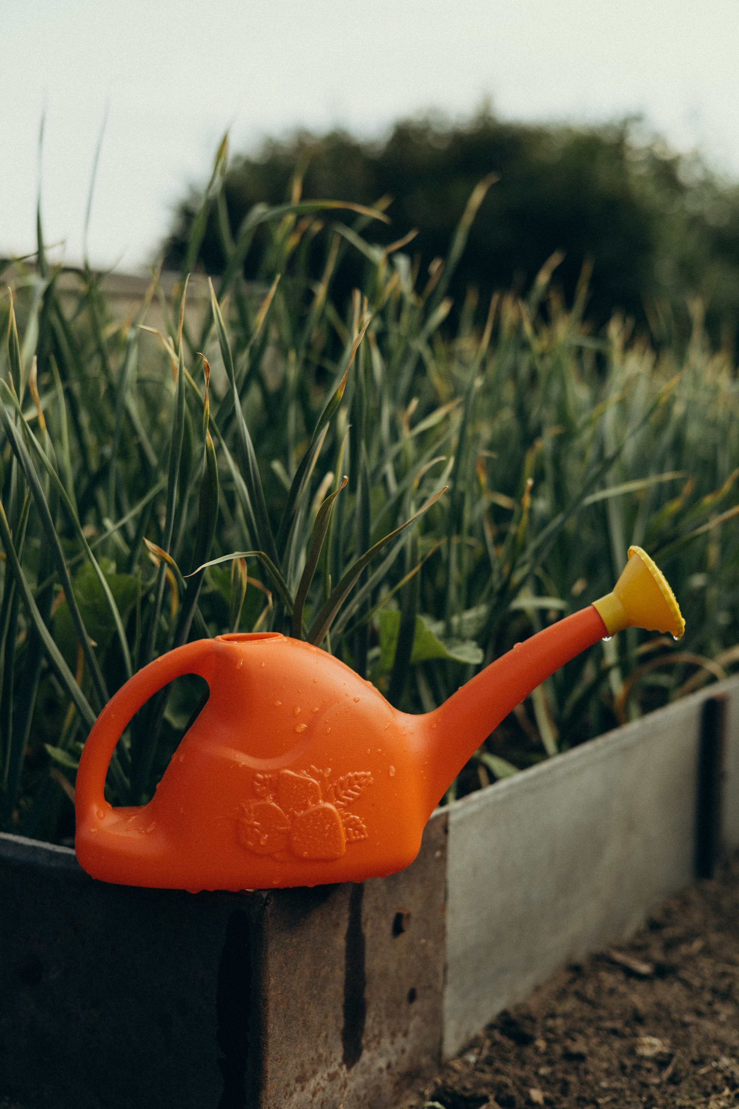 Хорошо в деревне летом…♡. Фотограф в г. Чита