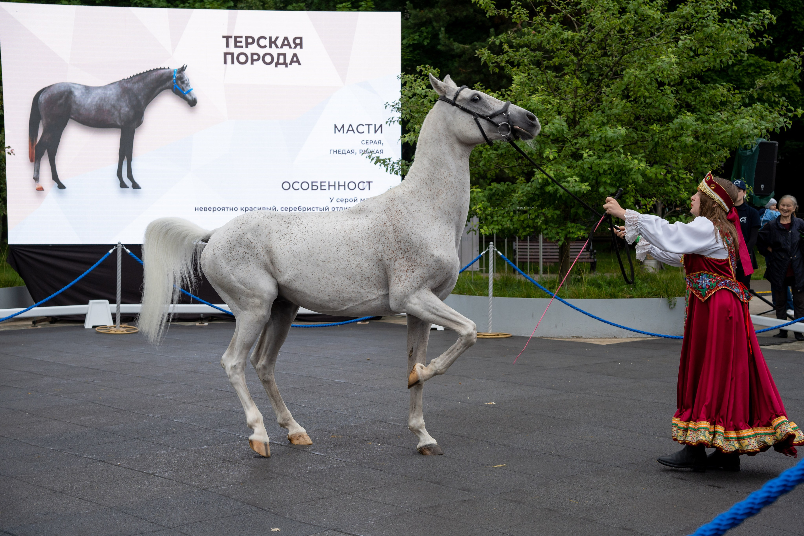 Животные. Фото, видео, монтаж