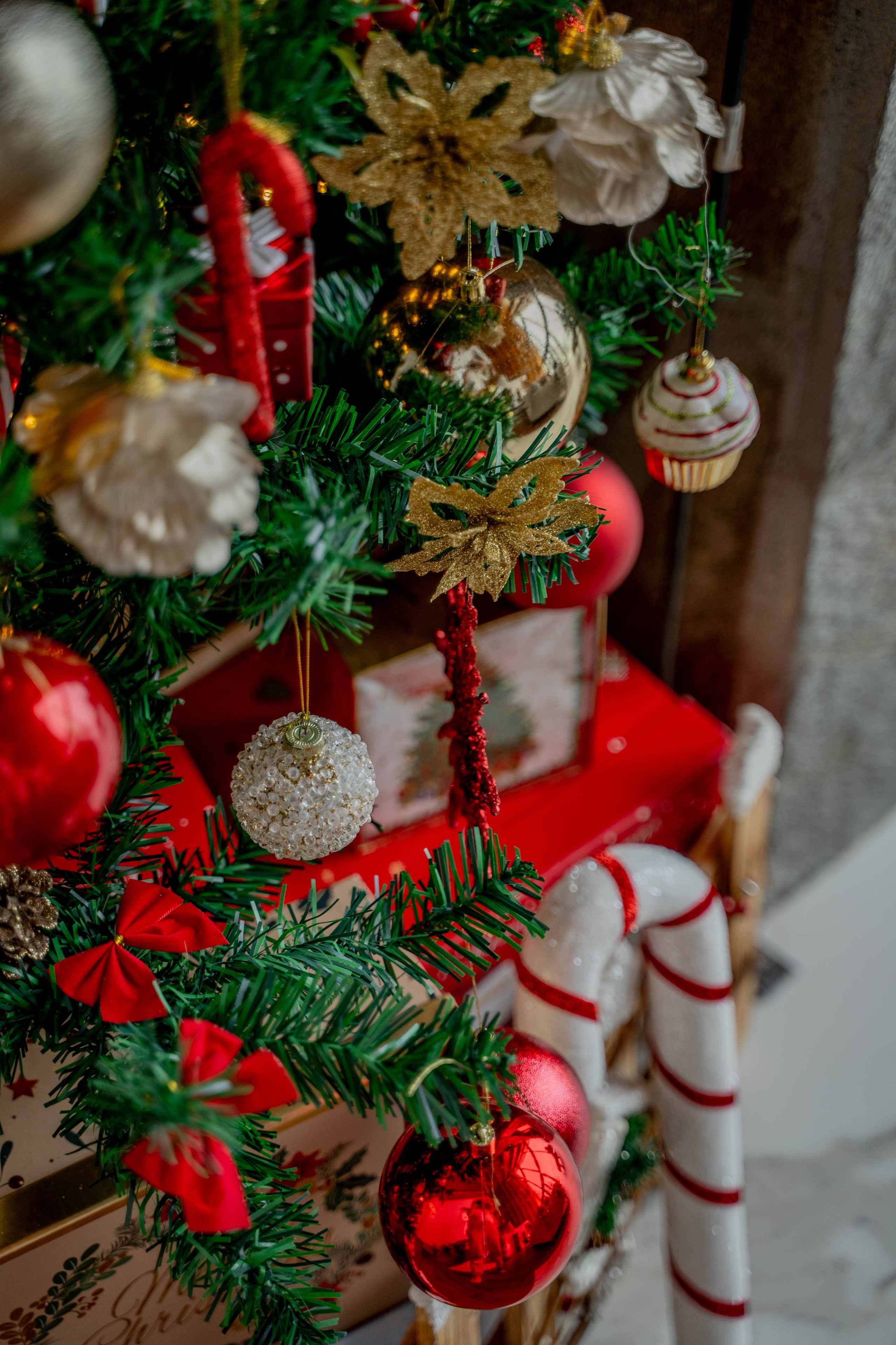 Sofia Kop. Photographer Liana Sudets Serbia Kopaonik Brzece Brus