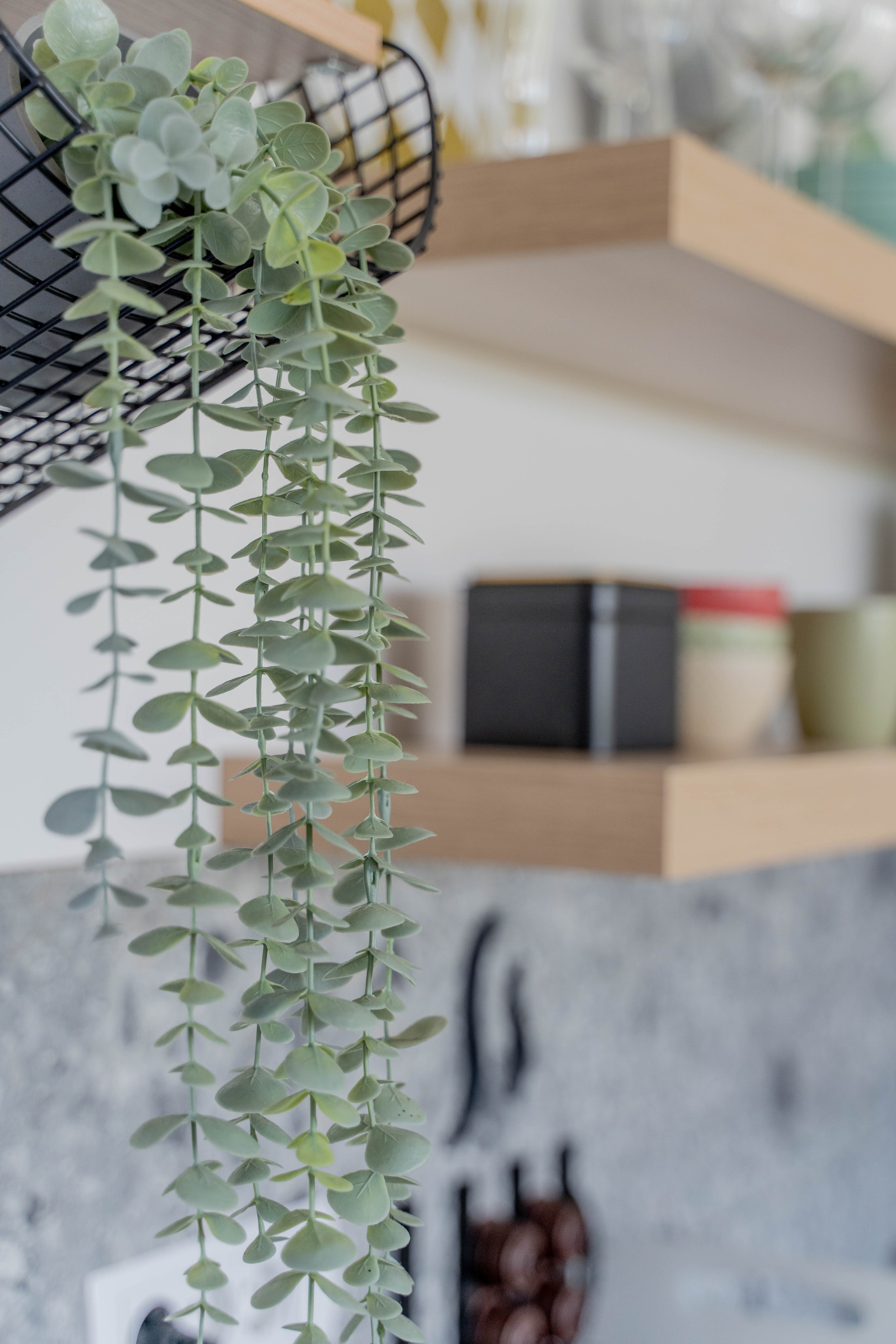 Rent a NEST Arandjelovac. Меня зовут Лиана.я видеограф и фотограф 📍 Работаю в Москве и МО