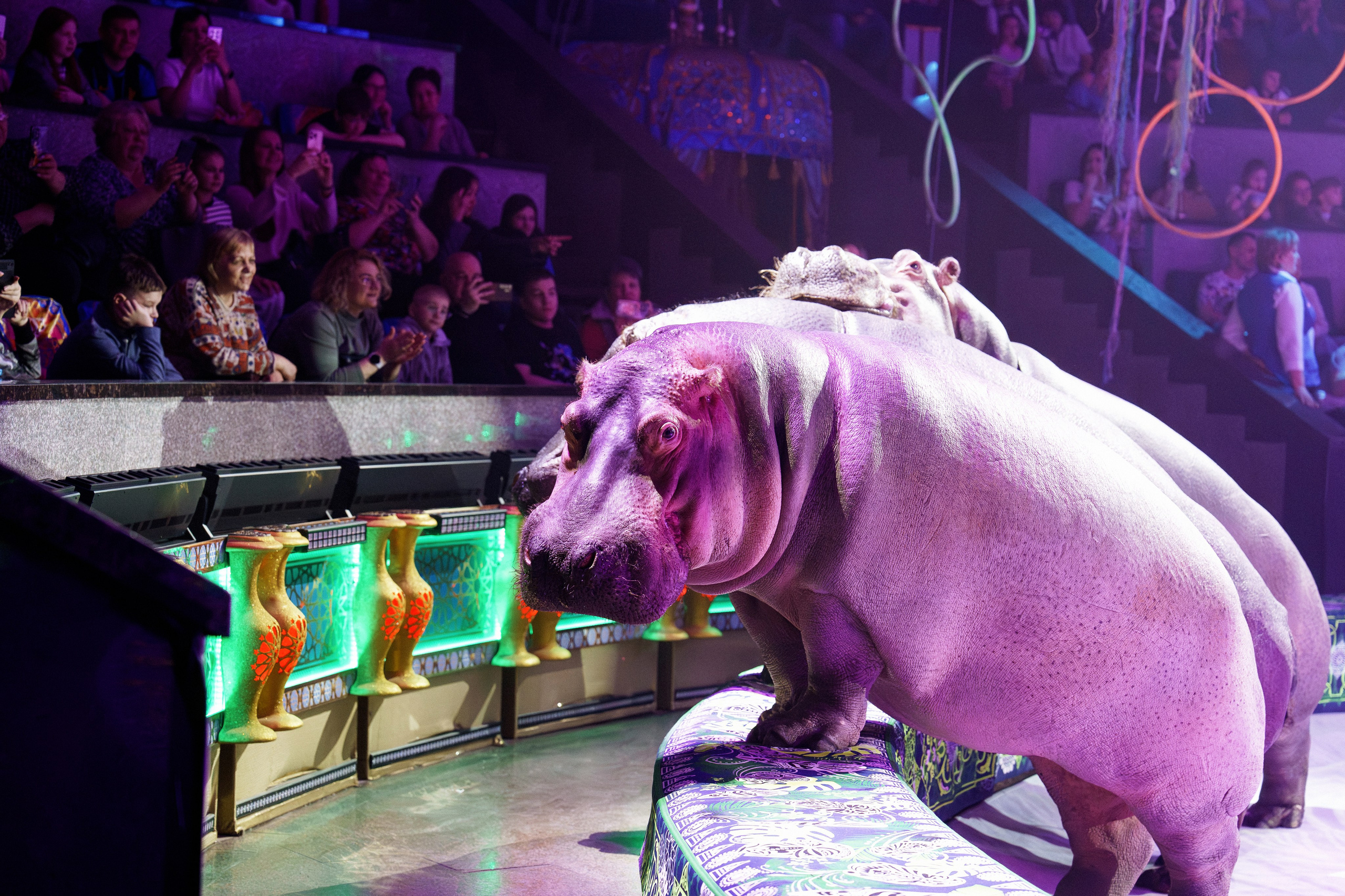 Новое шоу Гии Эрадзе «ПЕСЧАНАЯ СКАЗКА». Фотомастерская Воробьевых