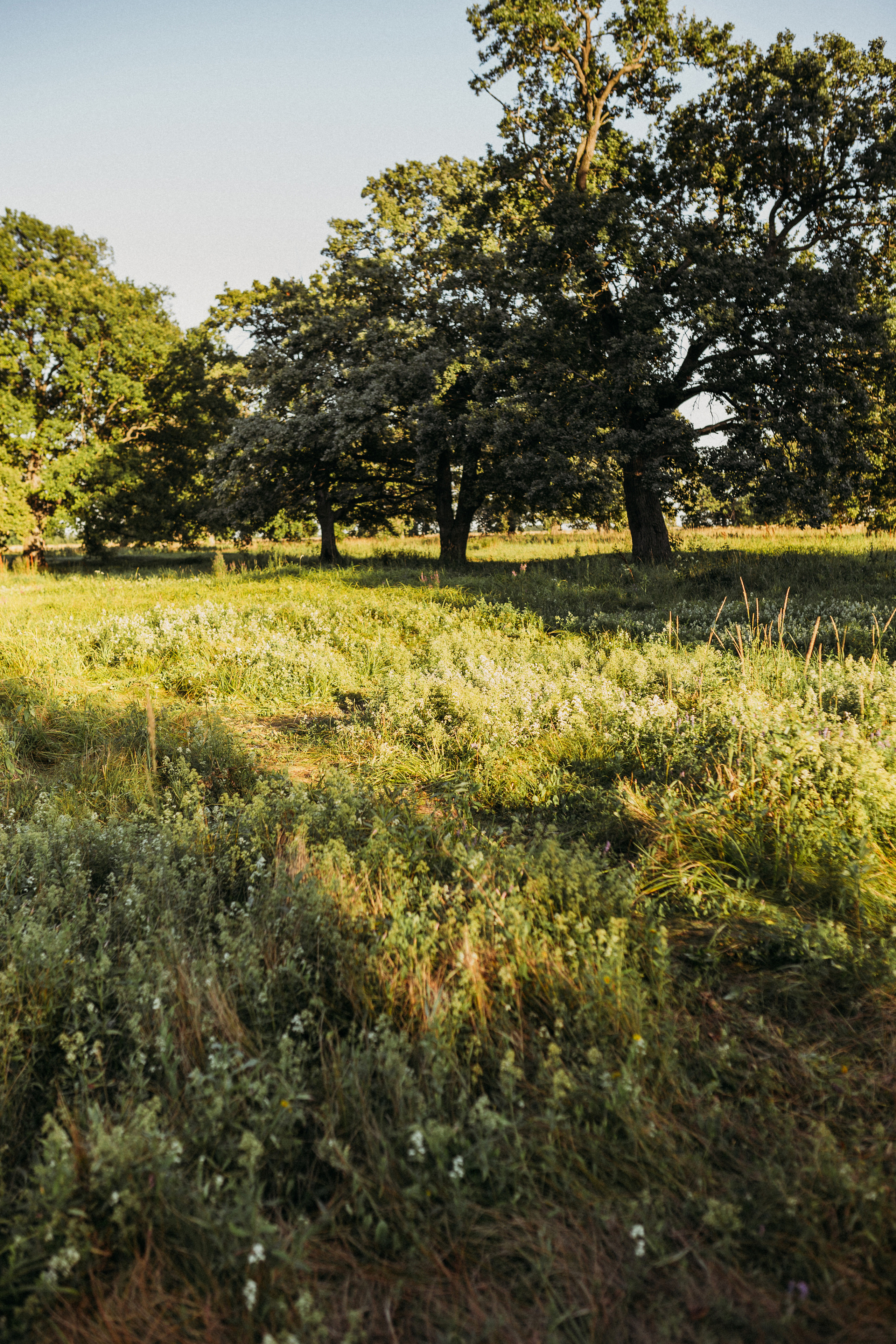 Аня с семьей. Семейный и детский фотограф в Рязани Екатерина Воронцова
