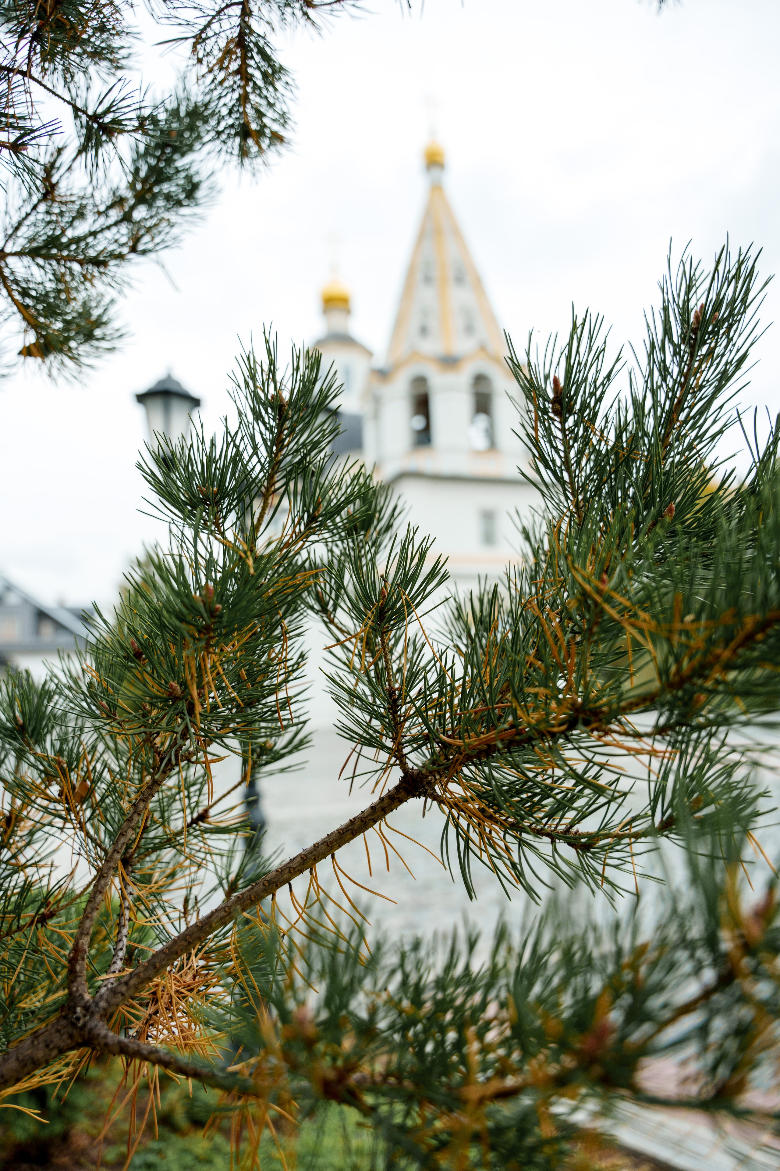 Венчание. Фотограф Юлия Попова