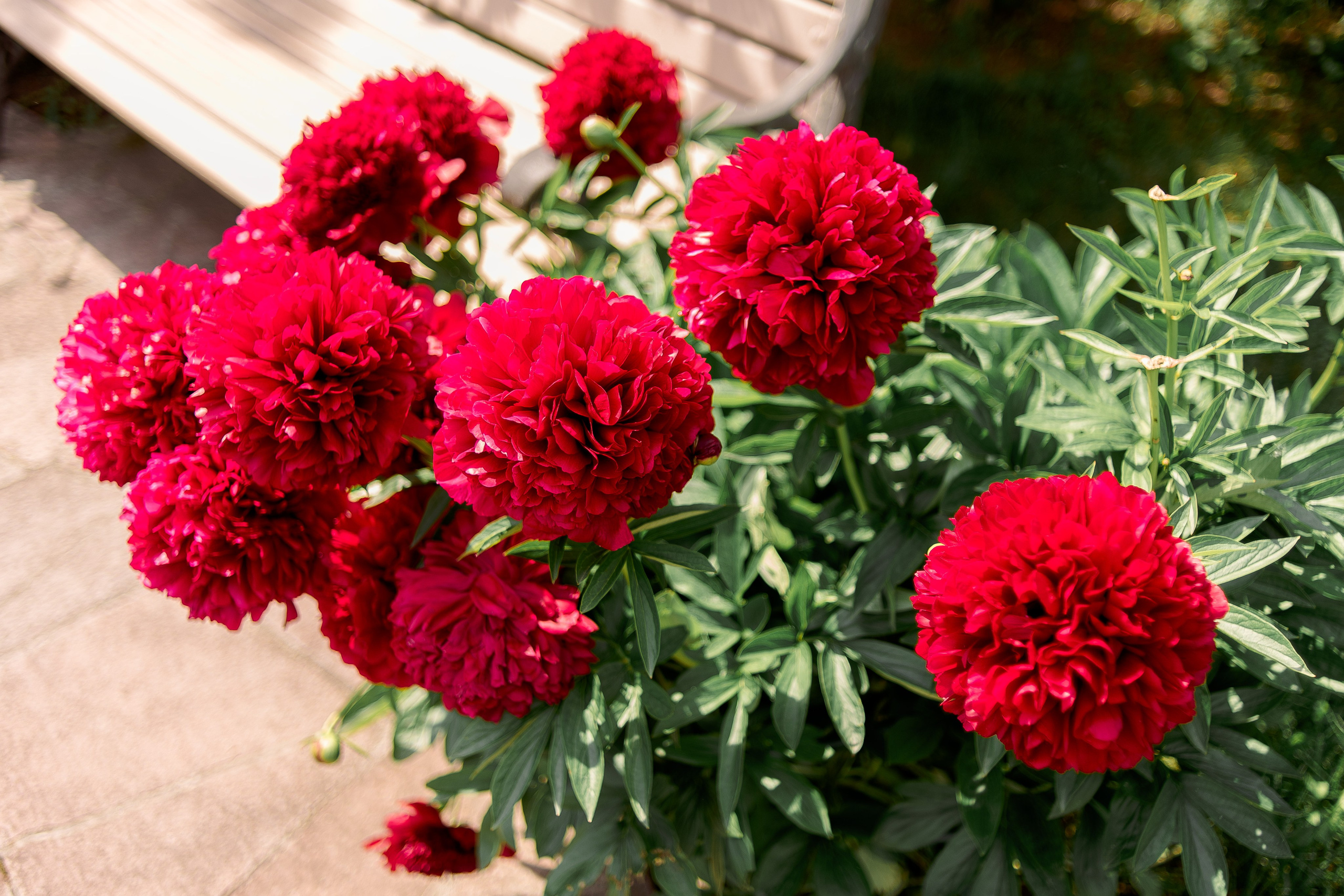 Крещение Ники. Фотограф Юлия Попова