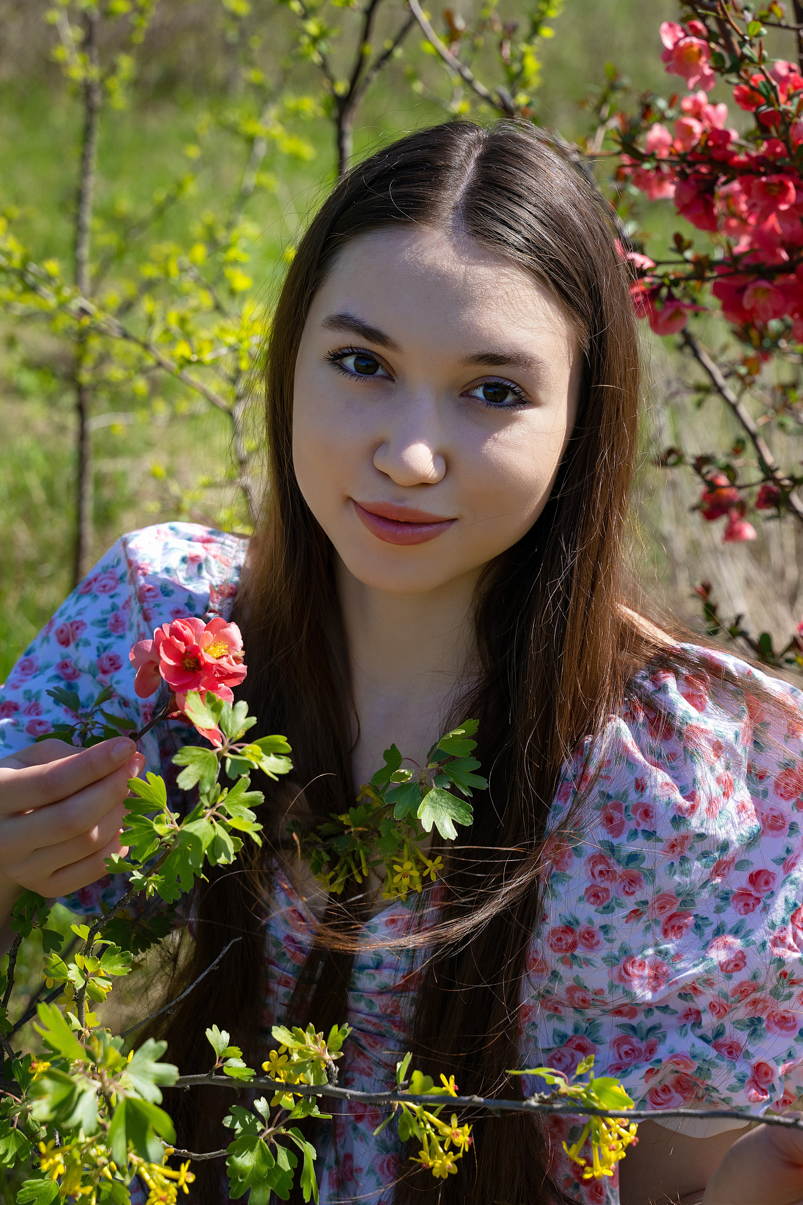 Смешанное цветение и зелень. Главная