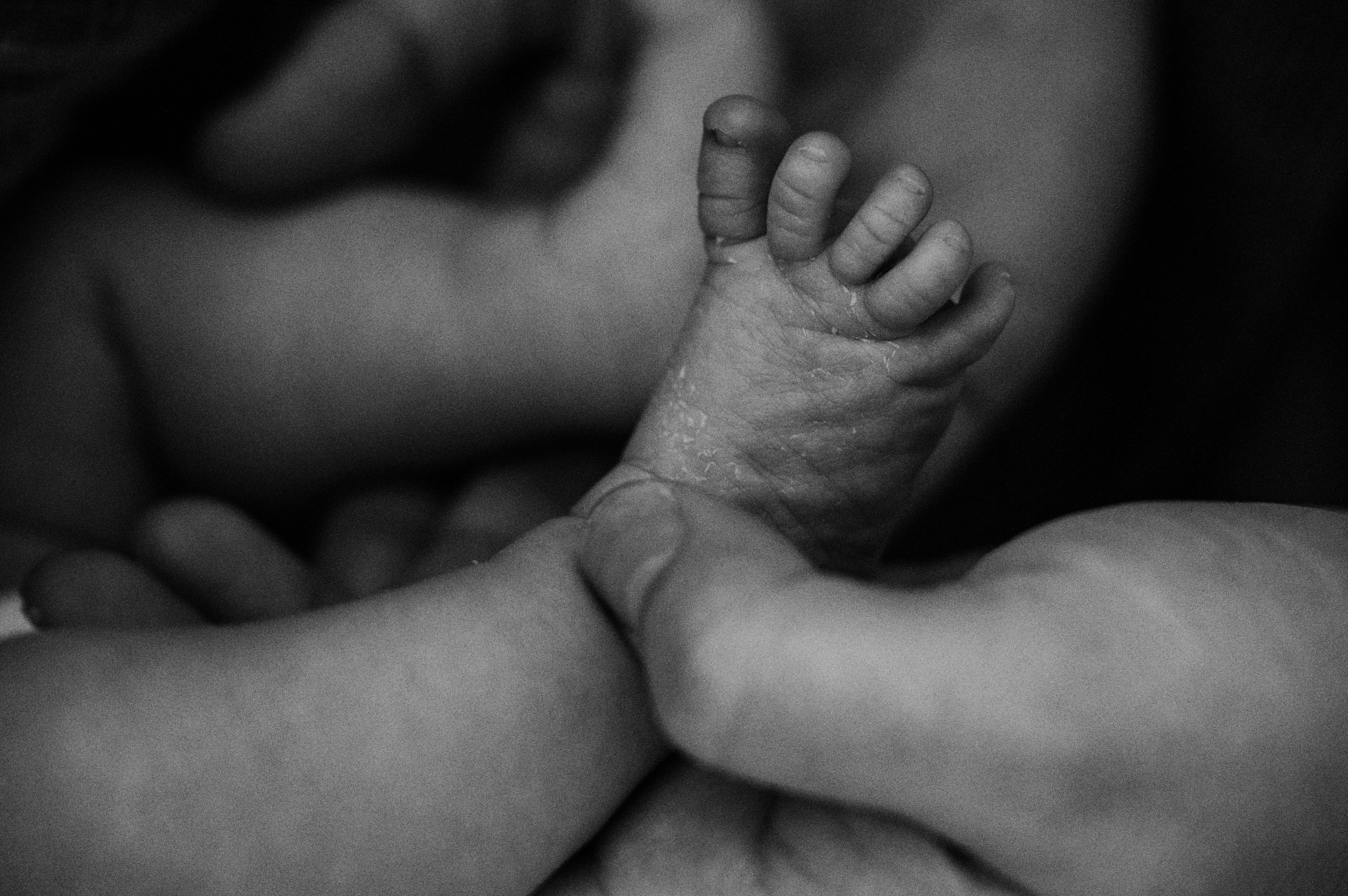 Лизавета, Никита и Мирослава. Фотограф беременности и семьи, домашние съемки, Ньюборн