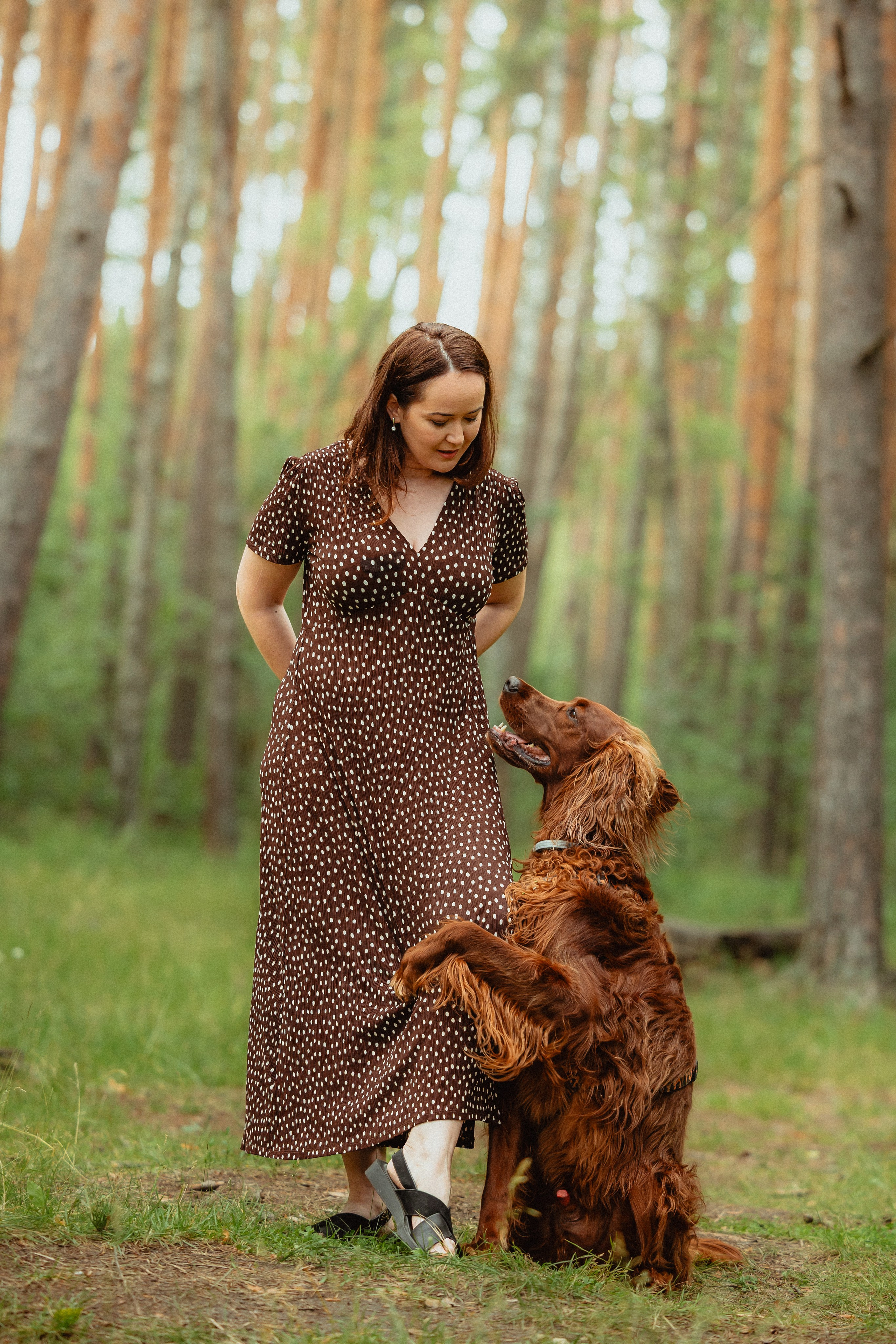 Выездной дог-тренинг от школы «Шерсть имею»