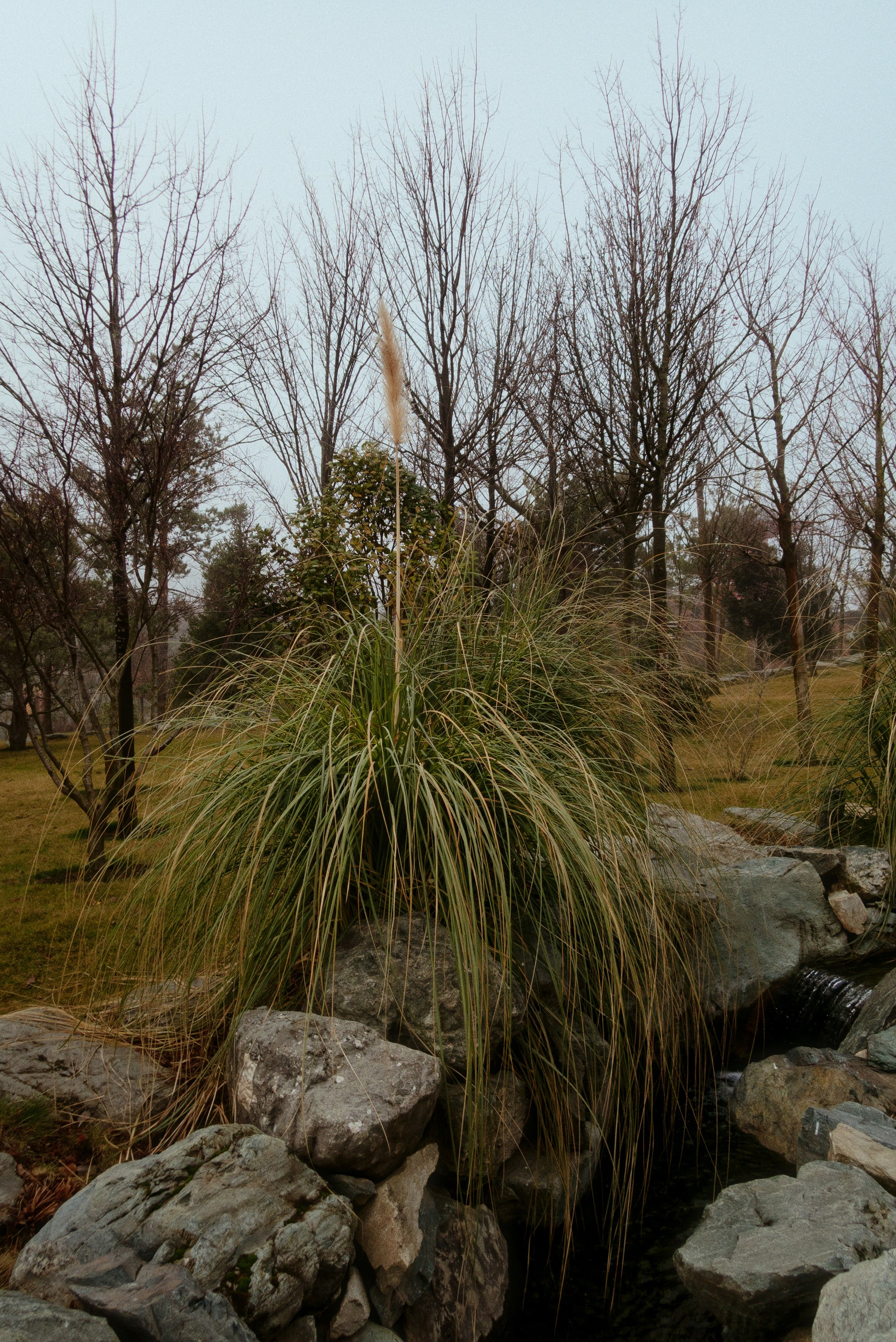 OM-System Tough-7 / Park Krasnodar (japan). Фотограф Юрин Евгений