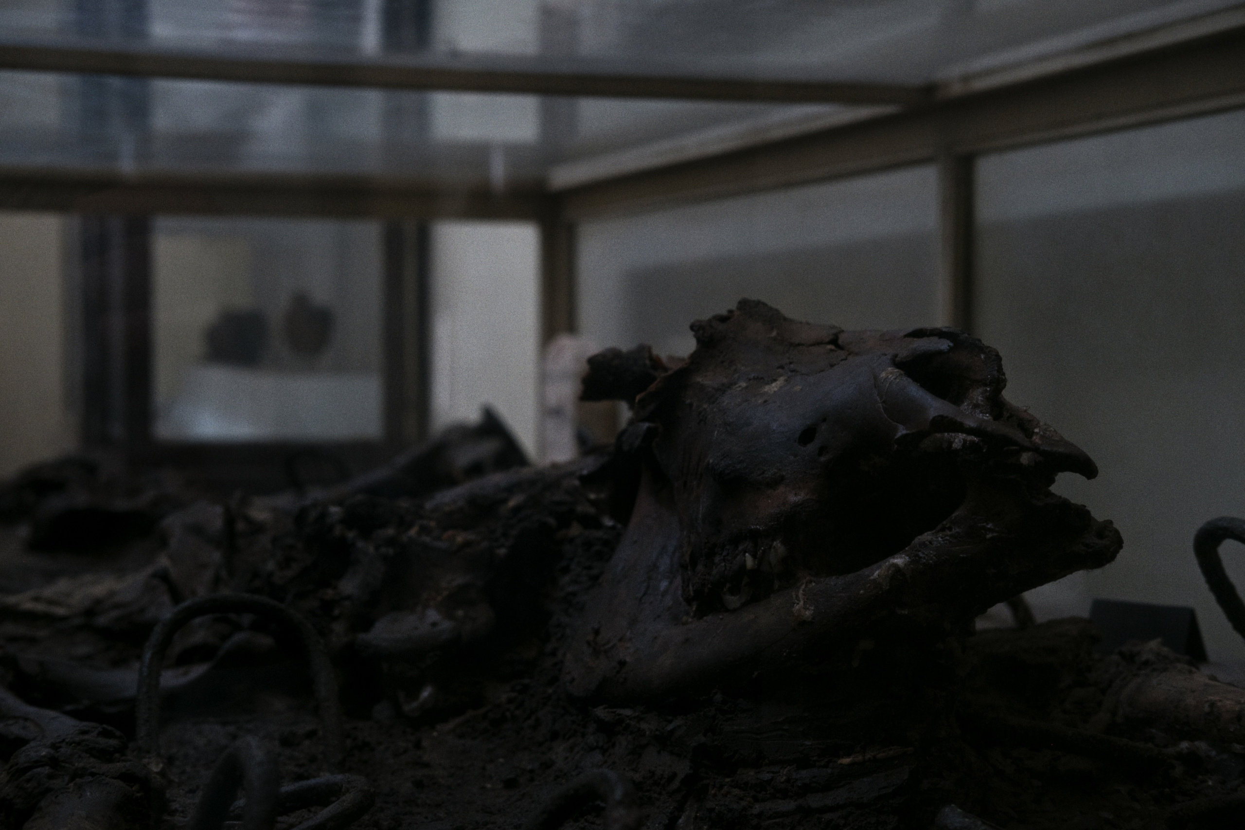 Archaeological Museum / Cairo, Egypt AW25. Фотограф Юрин Евгений